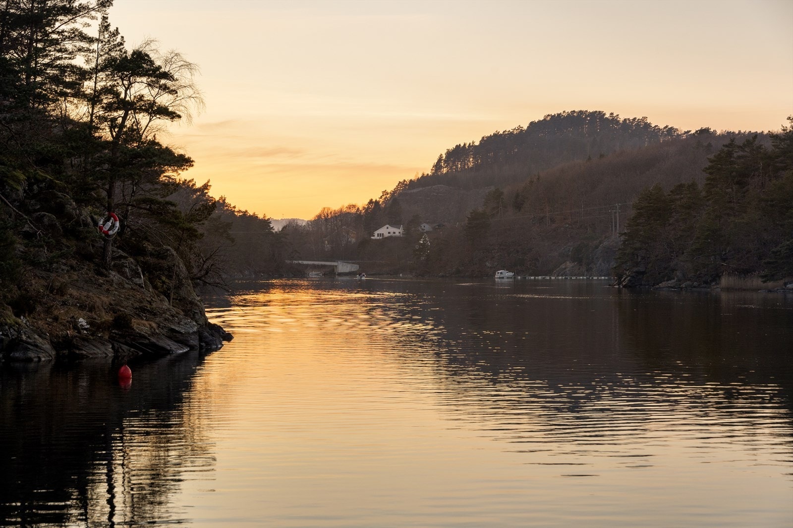 Nærområdet og nærhet til sjø! Nydelige omgivelser for en kajakktur, en minnerik opplevelse for store og små! Galleribilde