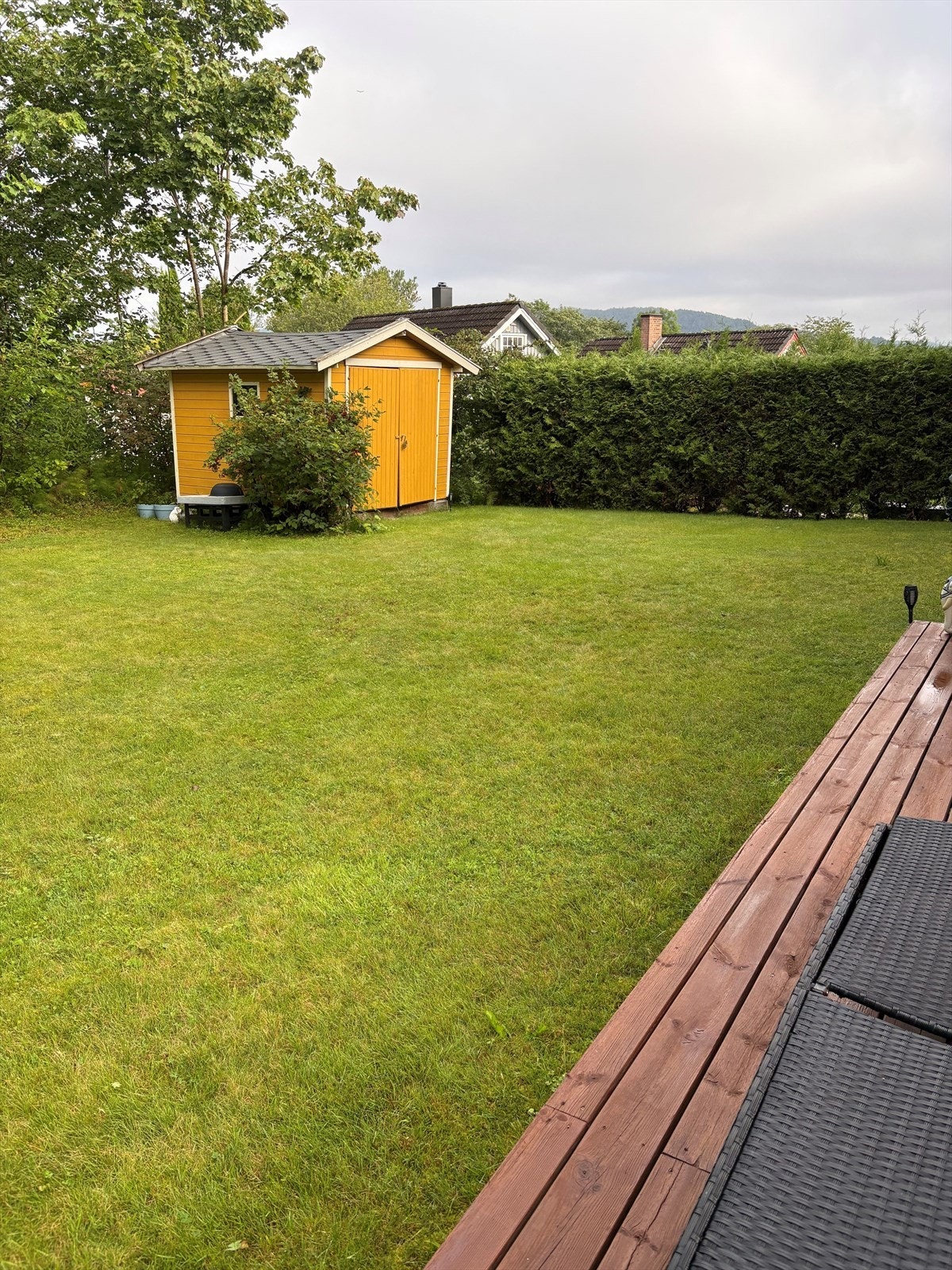 Selgers bilde av hagen Galleribilde