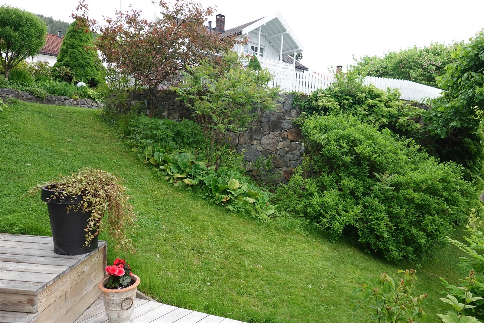 Selgers private bilde. Galleribilde