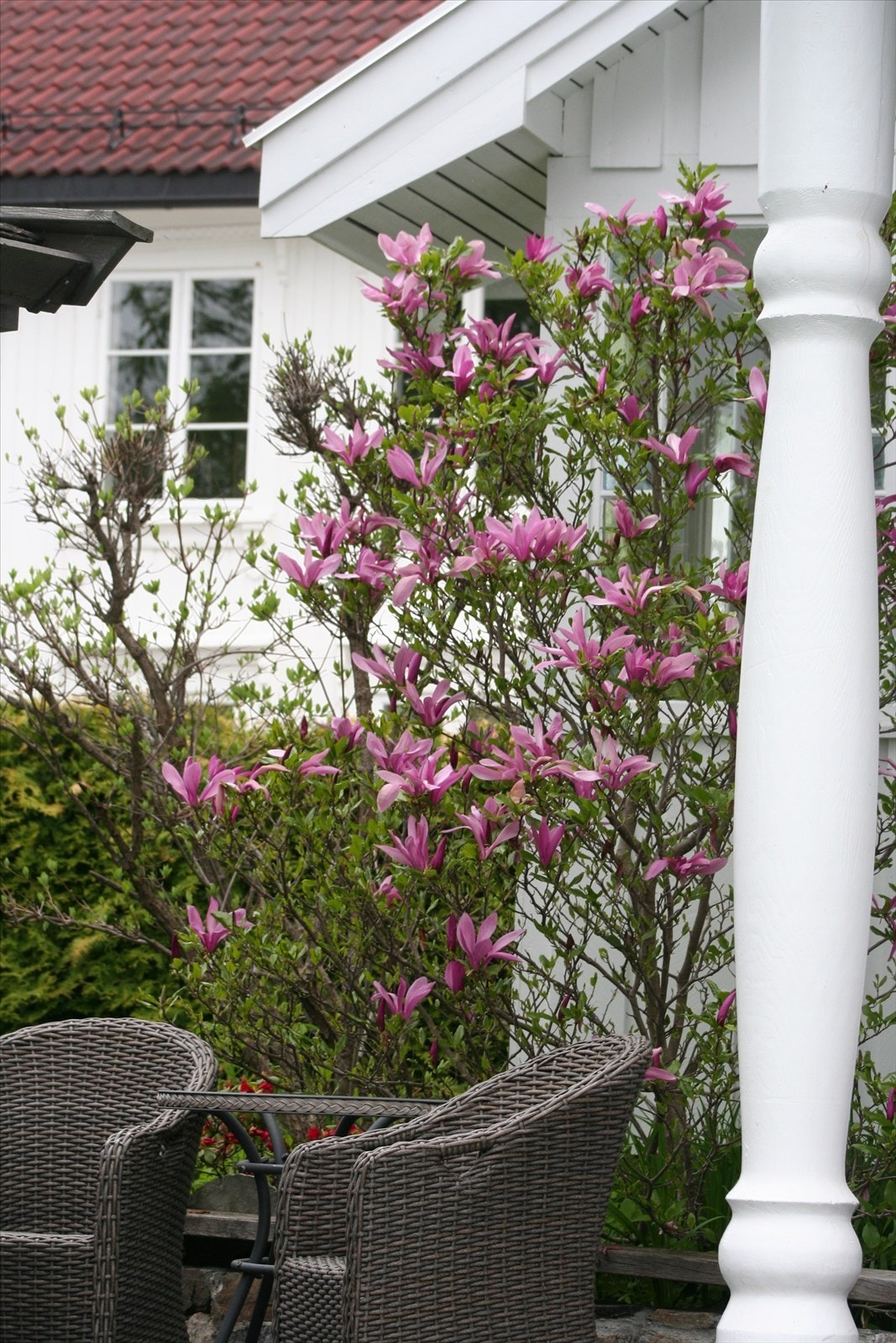 Selgers private bilde. Galleribilde