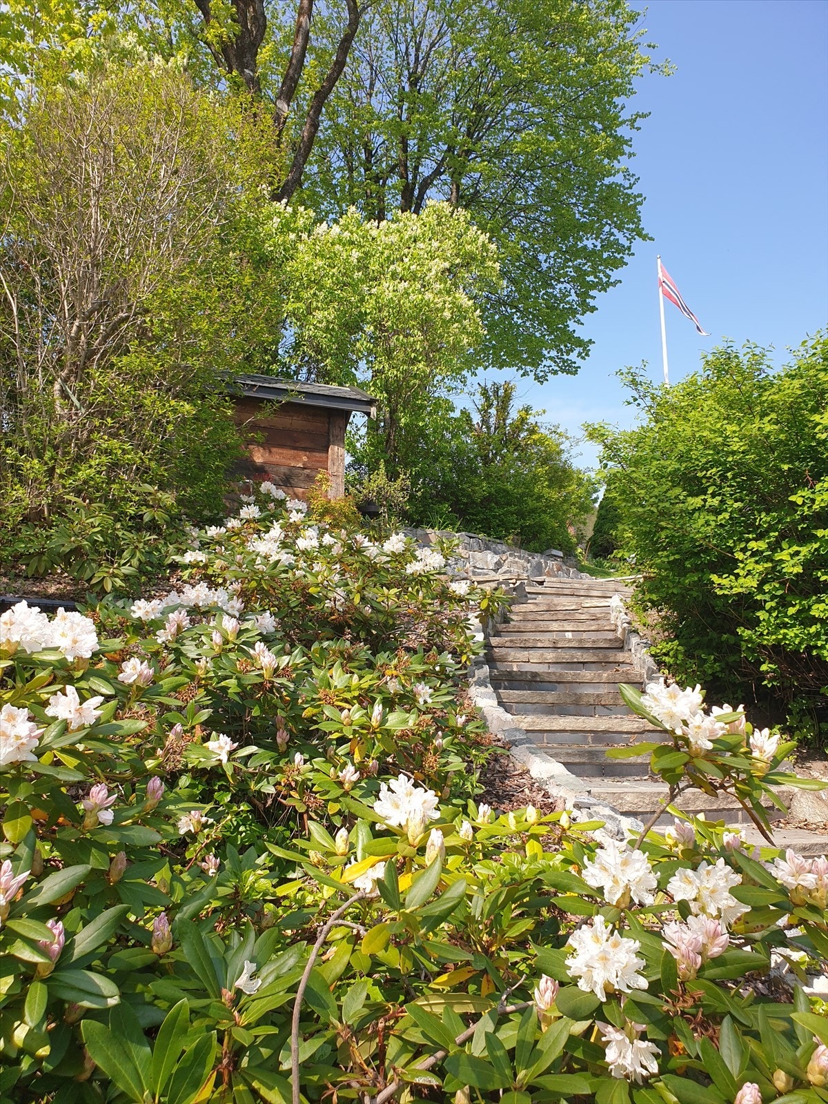 Selgers private bilde. Galleribilde