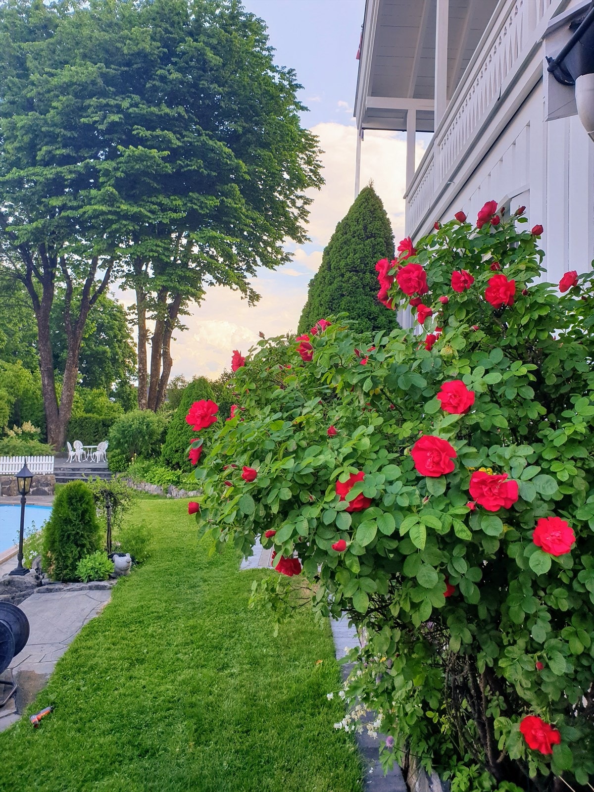 Selgers private bilde. Galleribilde