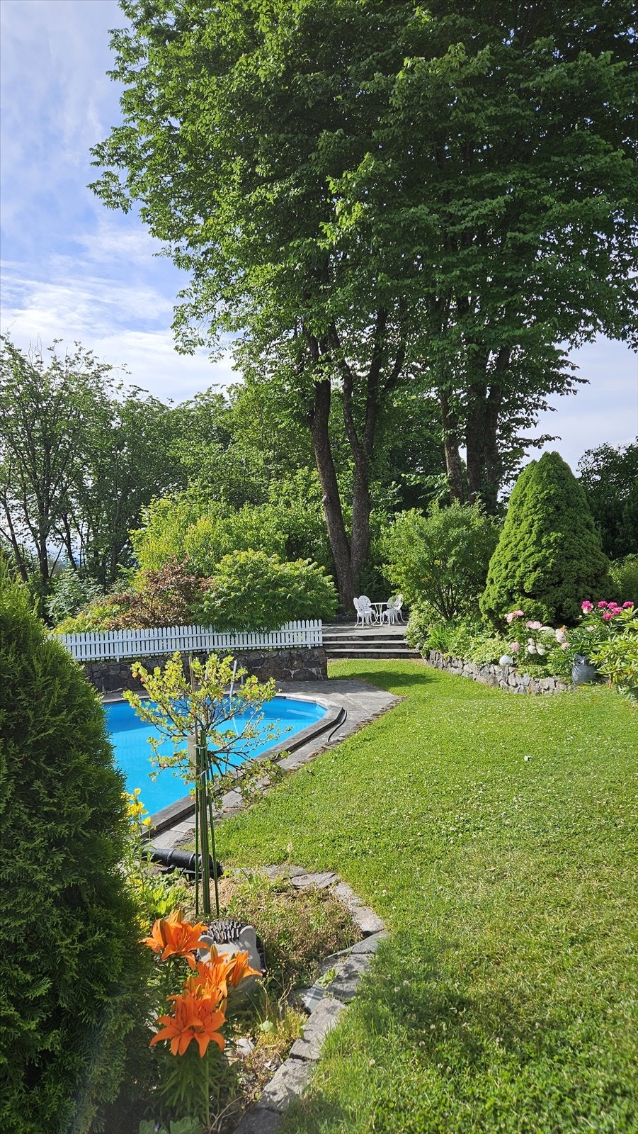 Selgers private bilde. Galleribilde