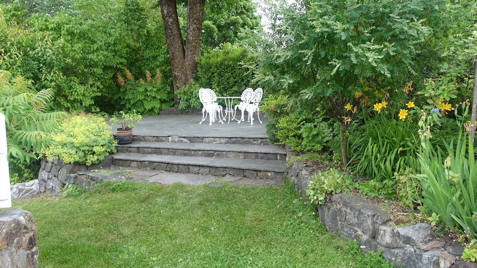 Selgers private bilde. Galleribilde