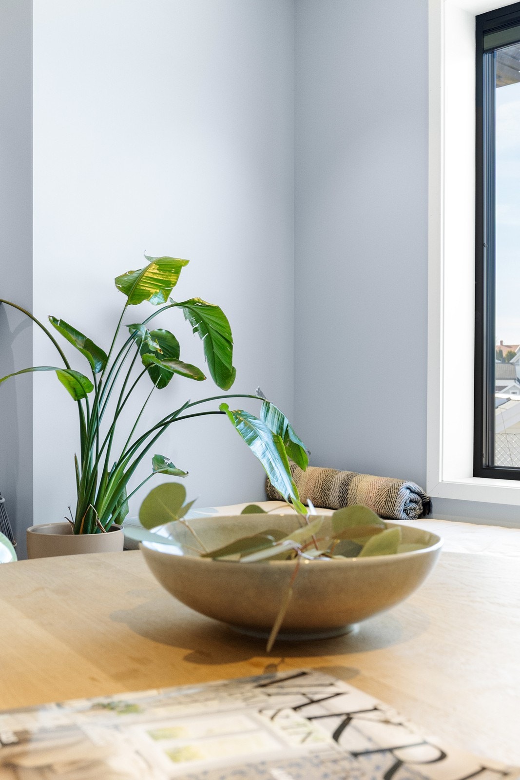 Detaljbilde Galleribilde