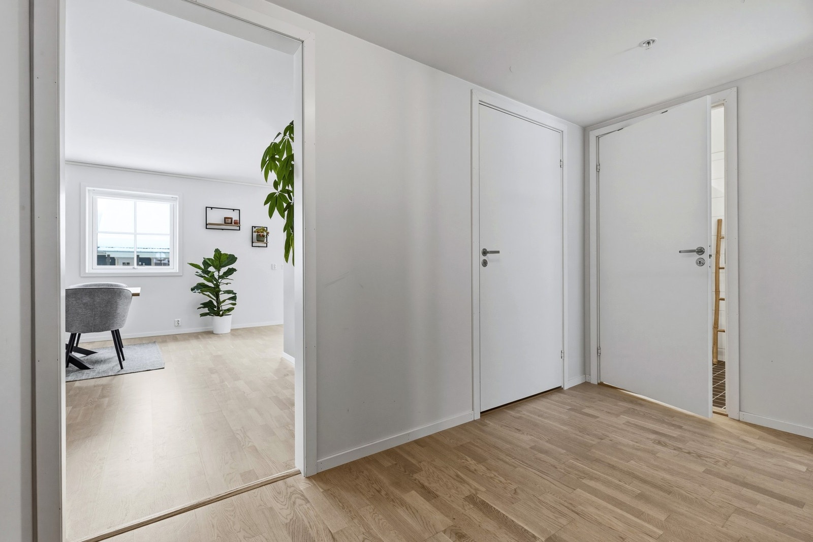 Gangen åpner opp resten av leiligheten. Galleribilde