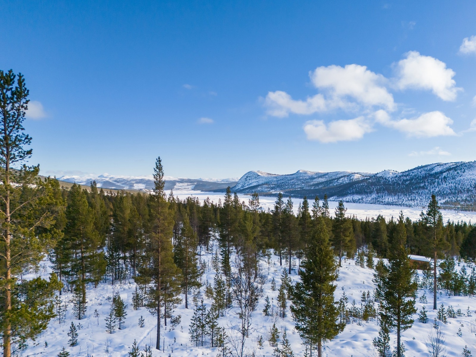 Rolige og idylliske omgivelser - perfekt for deg som ønsker ekte fjellro. Galleribilde