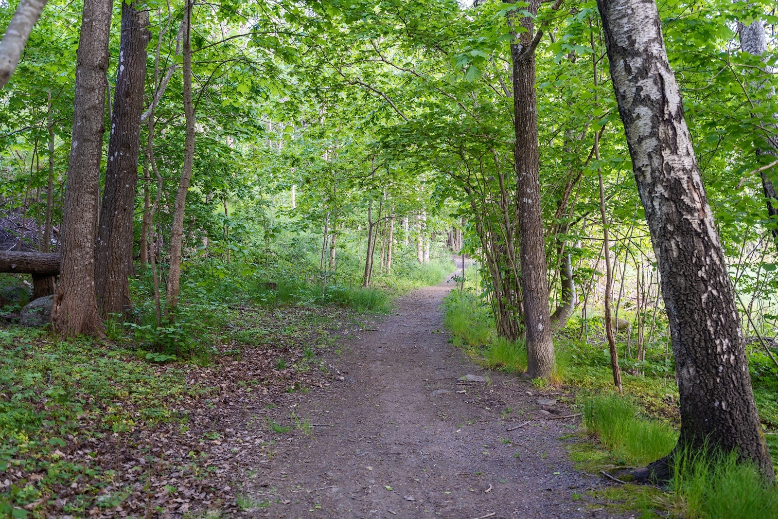 Ønsker man å gå tur så er det flere flotte tur- og rekreasjonsområder rett utenfor døren Galleribilde