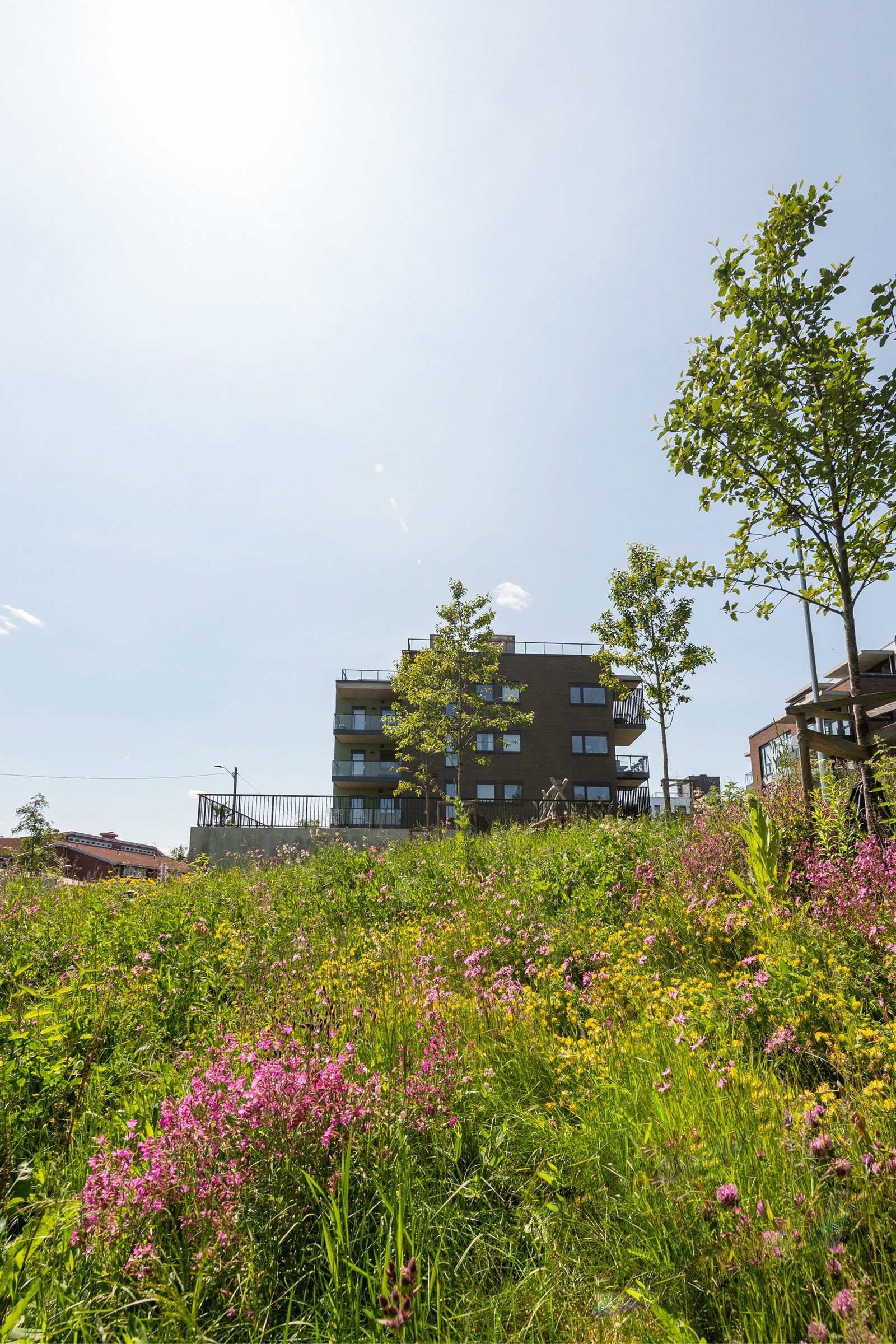 Velkommen til naturskjønne Ås! Galleribilde