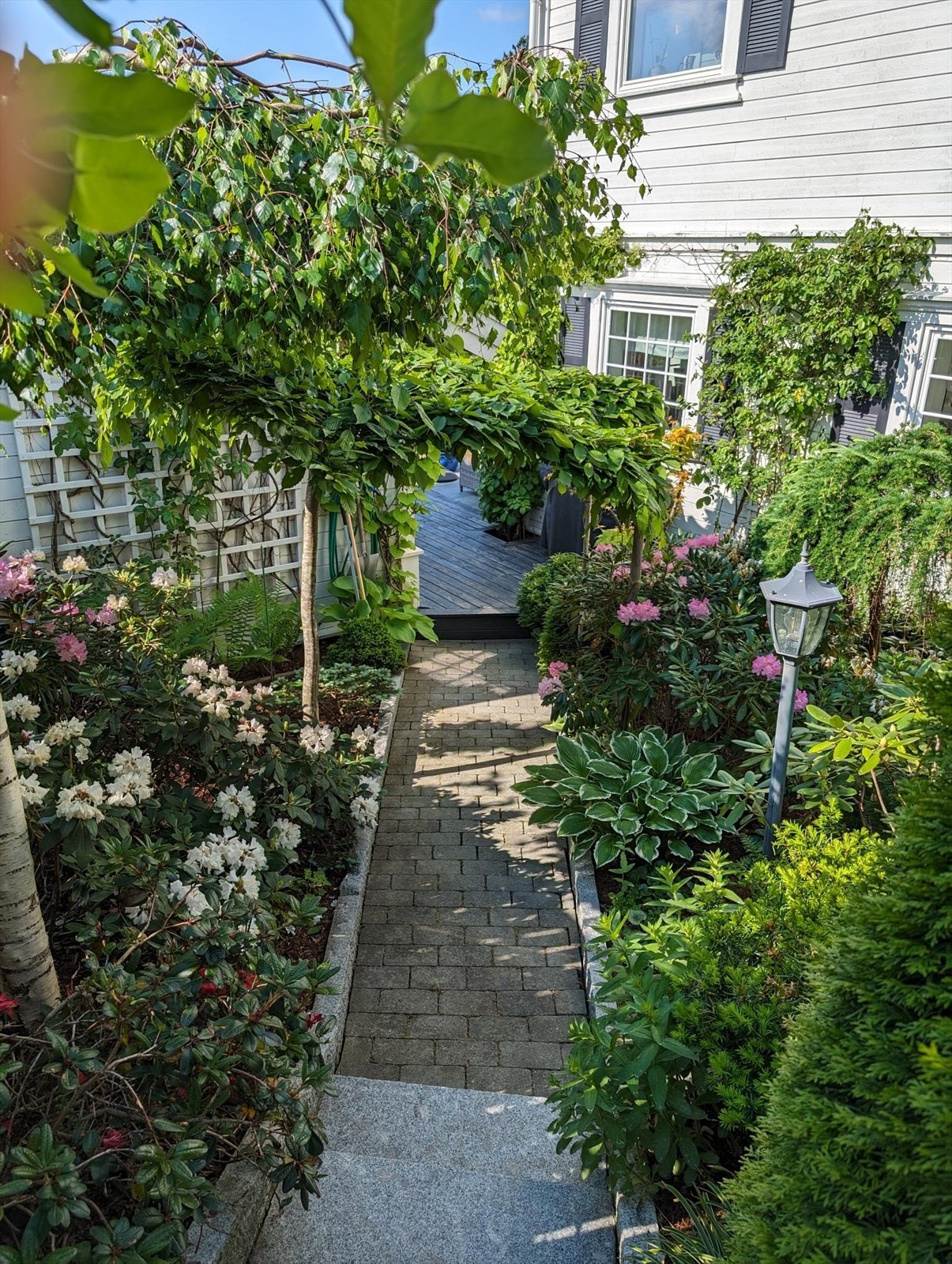 Frodig hage Galleribilde