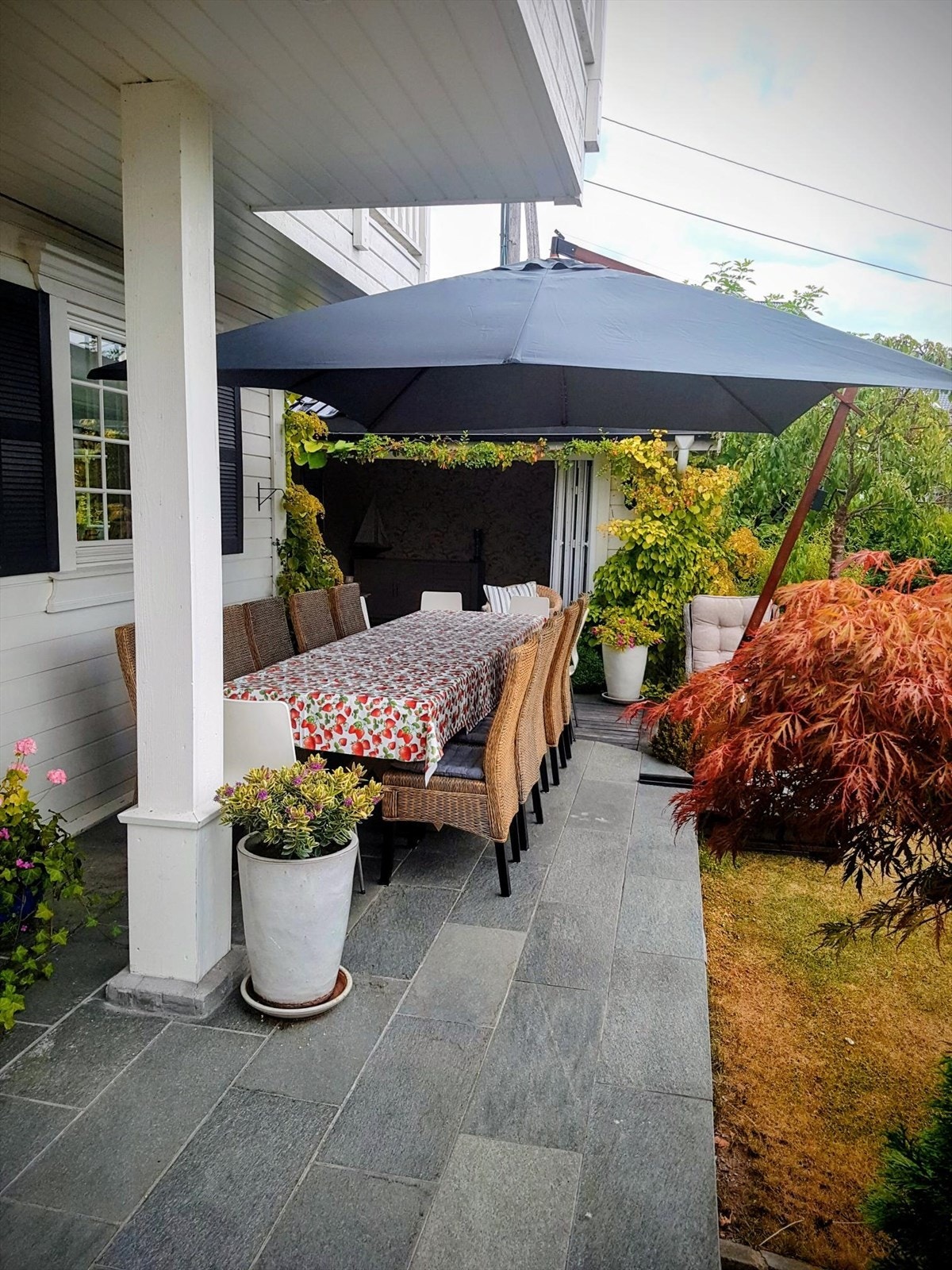 Selgers bilde Galleribilde