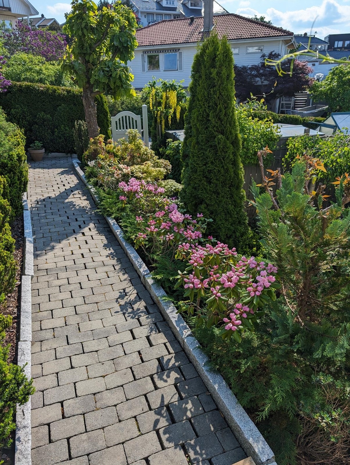 Nydelig hage Galleribilde