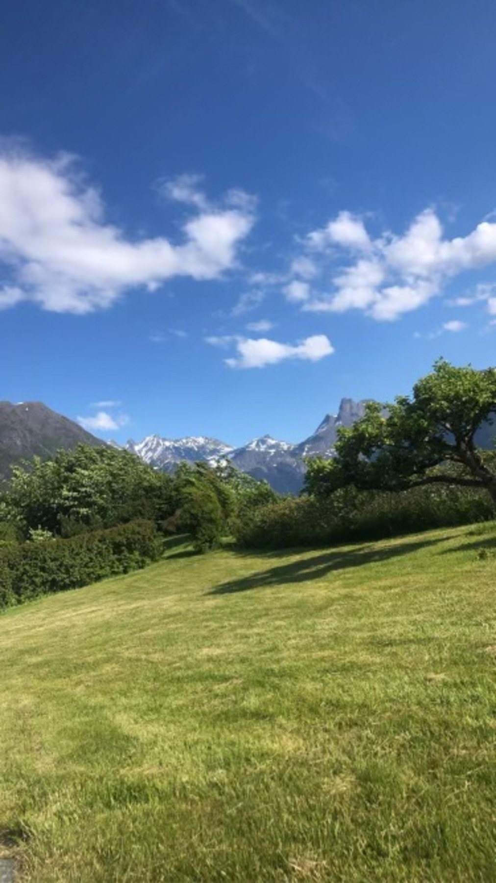 Privat bilde. Galleribilde