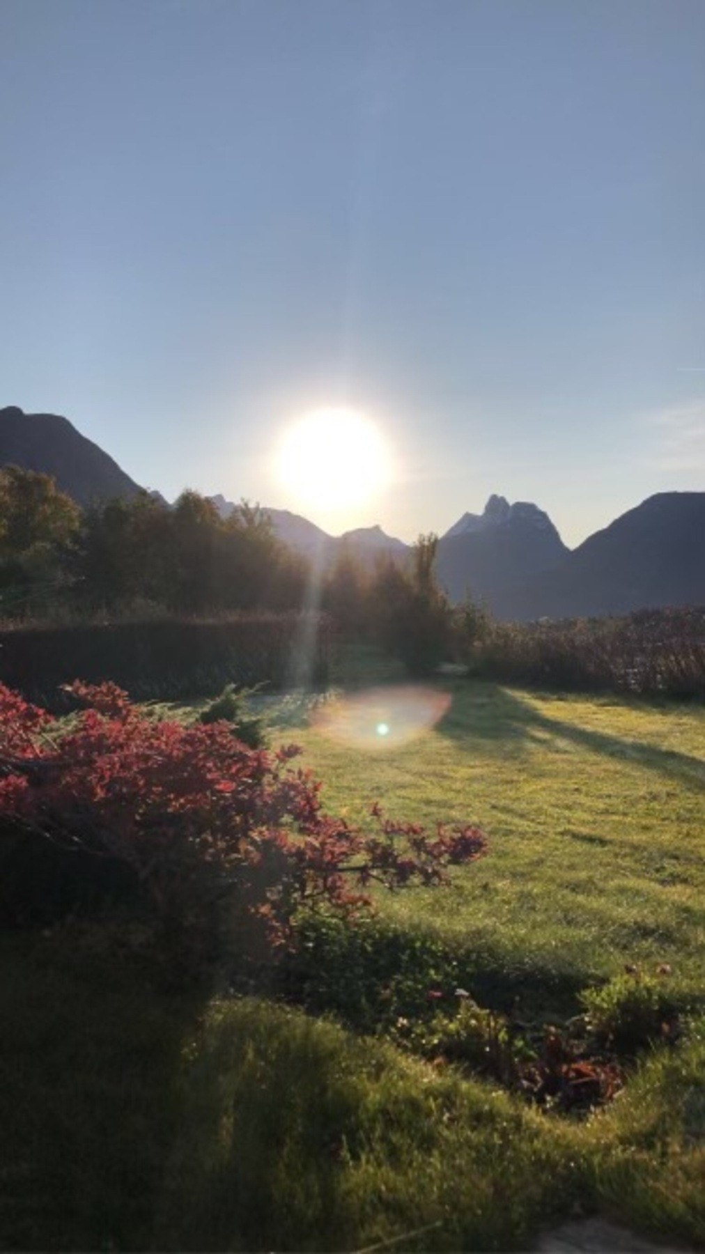 Privat bilde. Galleribilde