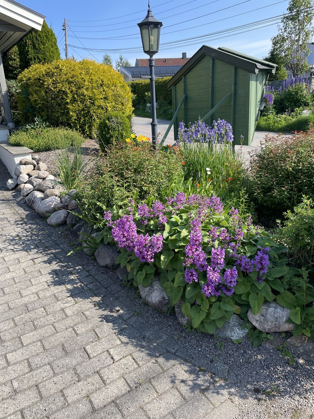 Bilde tatt av selger. Galleribilde