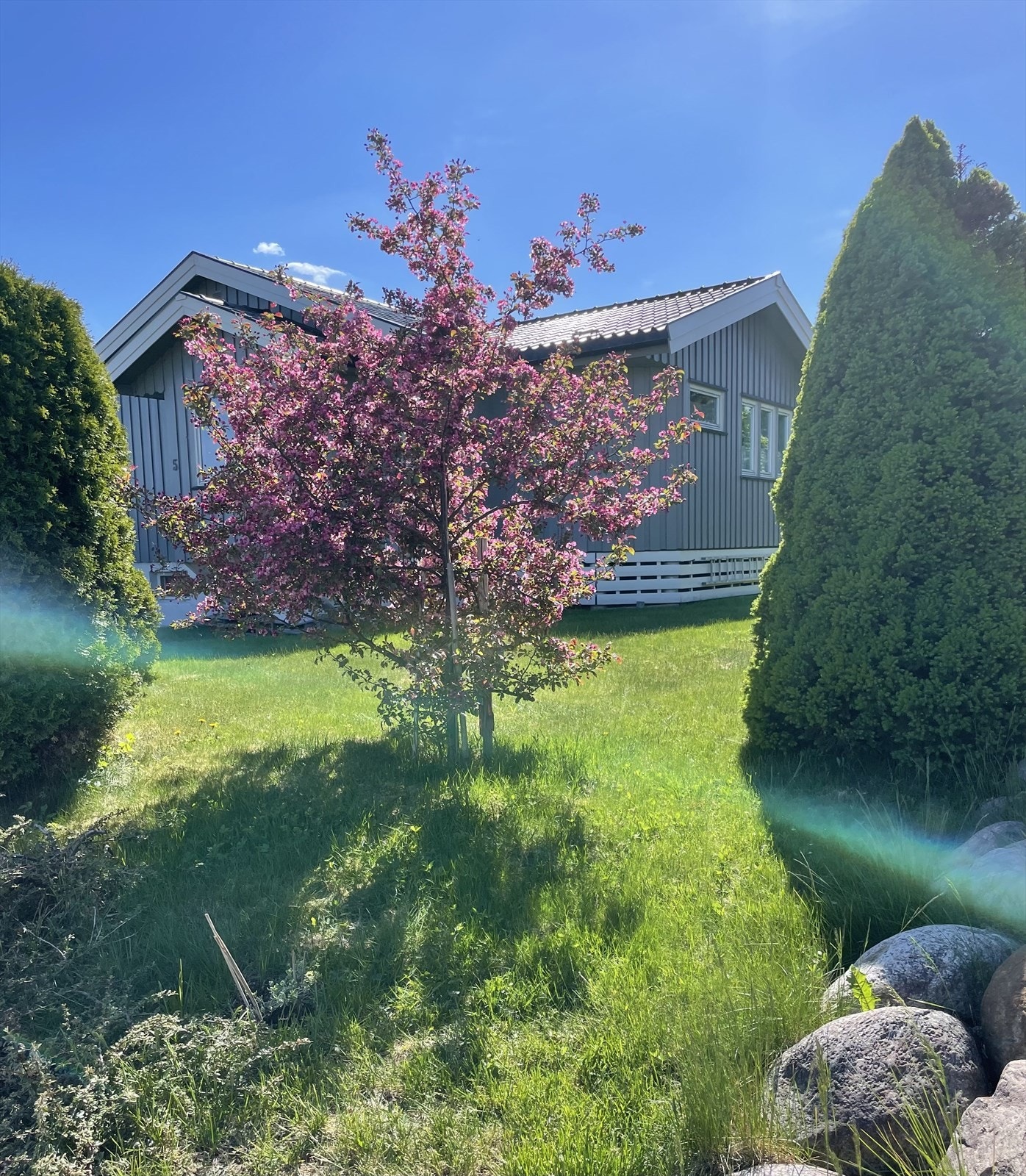 Bilde tatt av selger. Galleribilde