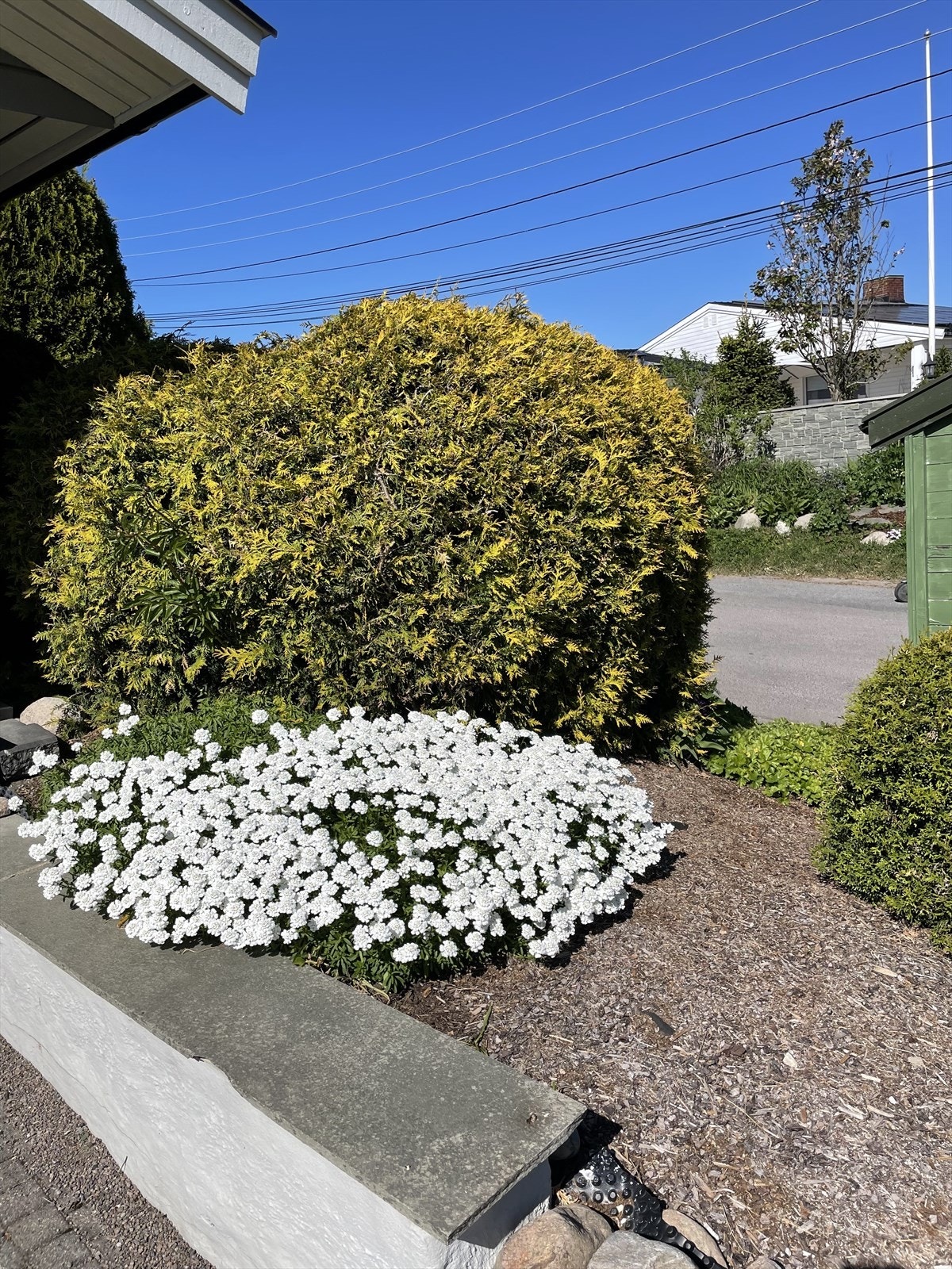 Bilde tatt av selger. Galleribilde