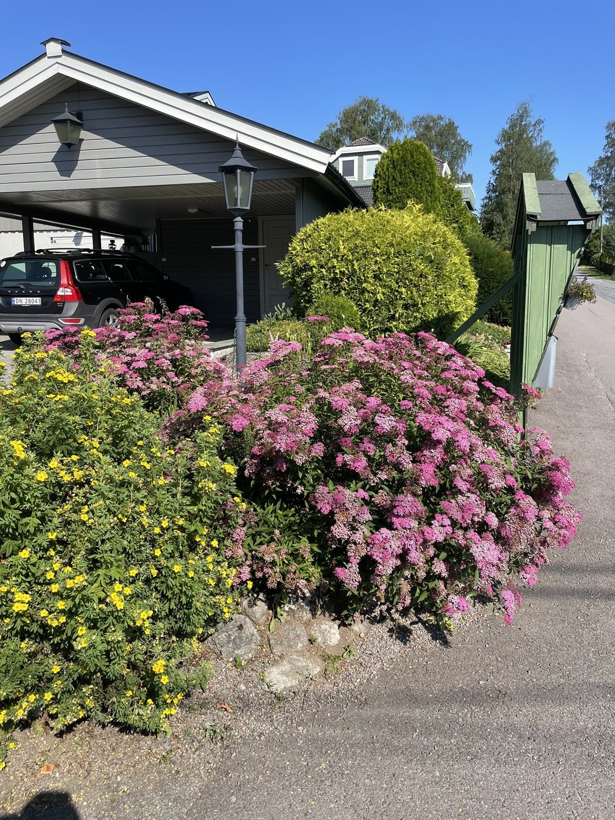 Bilde tatt av selger. Galleribilde