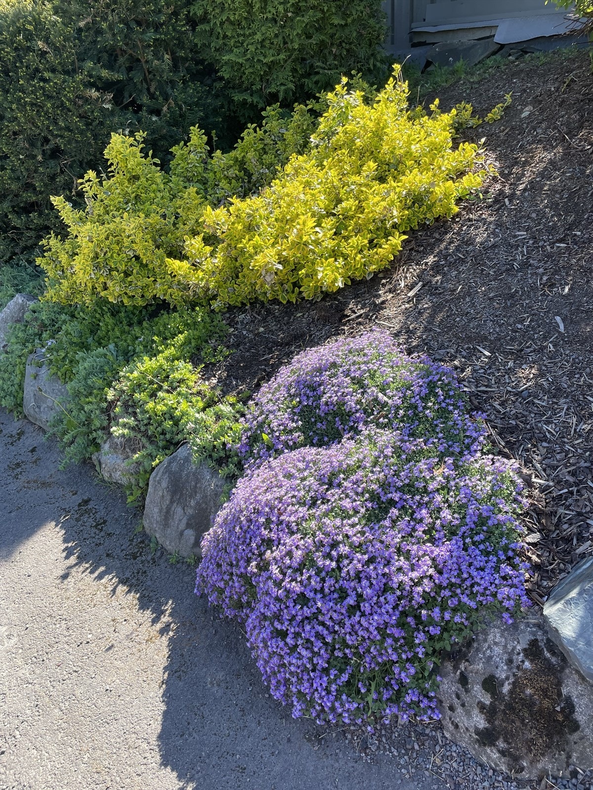 Bilde tatt av selger. Galleribilde