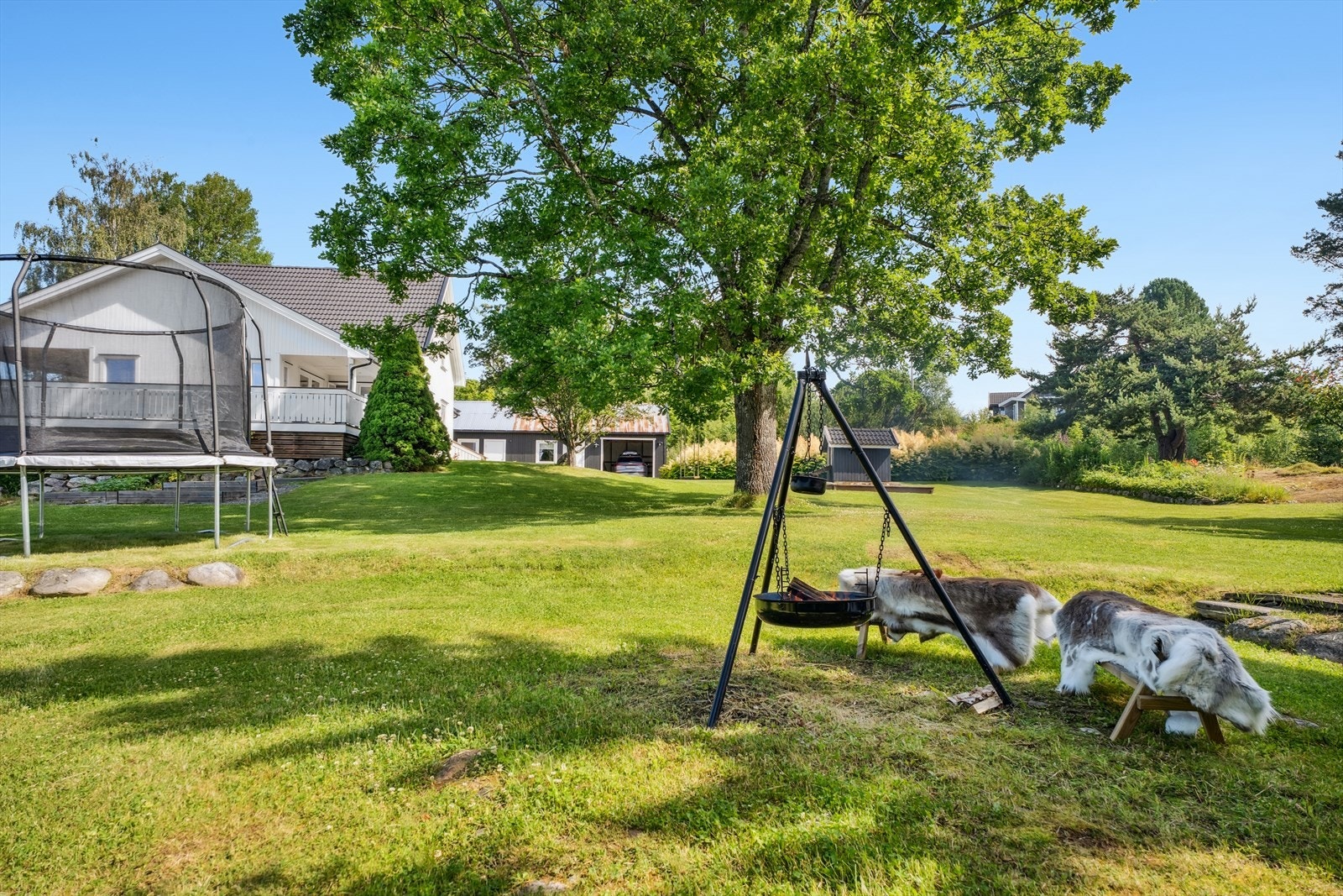 Stor eiet tomt som strekker seg litt over 3,6 mål, pent opparbeidet med plen, diverse trær og beplantning. Galleribilde