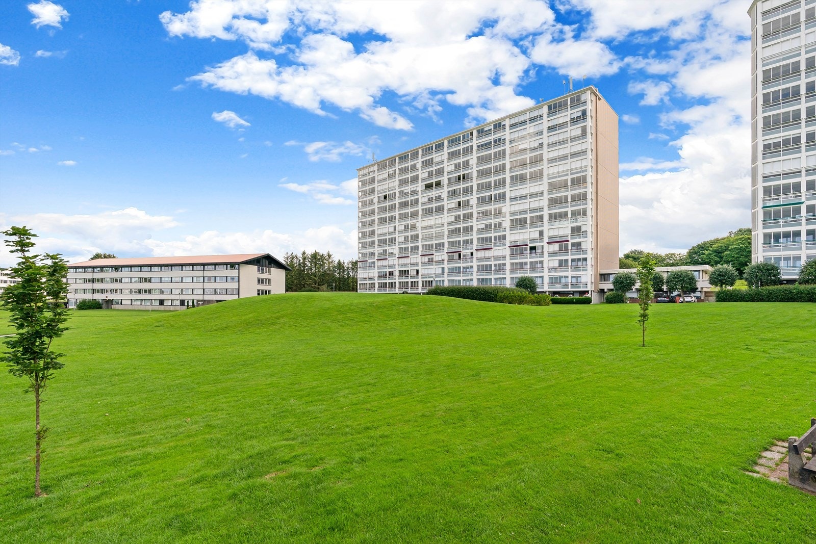 EiendomsMegler 1 v/ Thomas Fanebust presenterer Jernalderveien 55A. Foto: Eivind Dirdal. Galleribilde