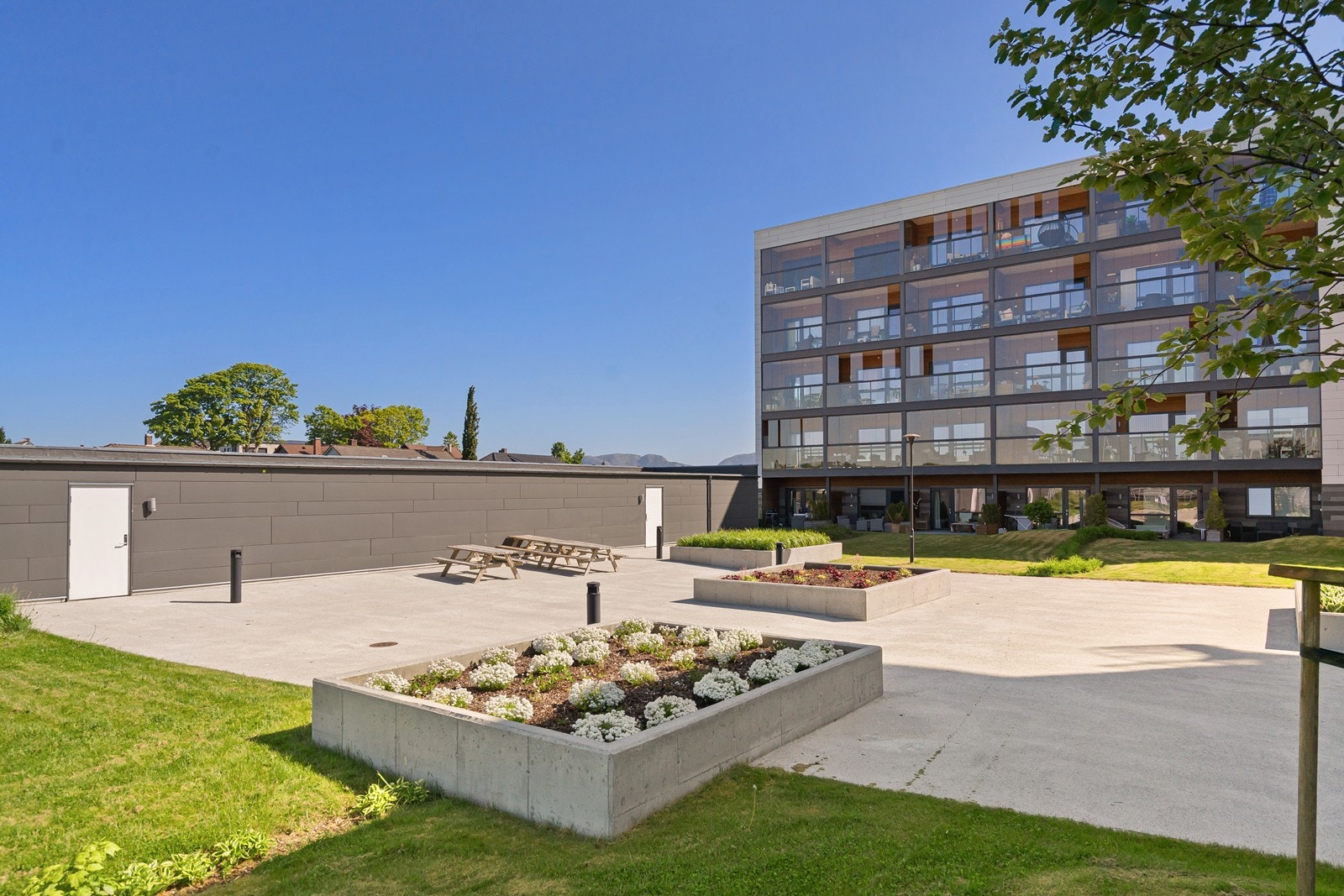 Fellesområde Galleribilde