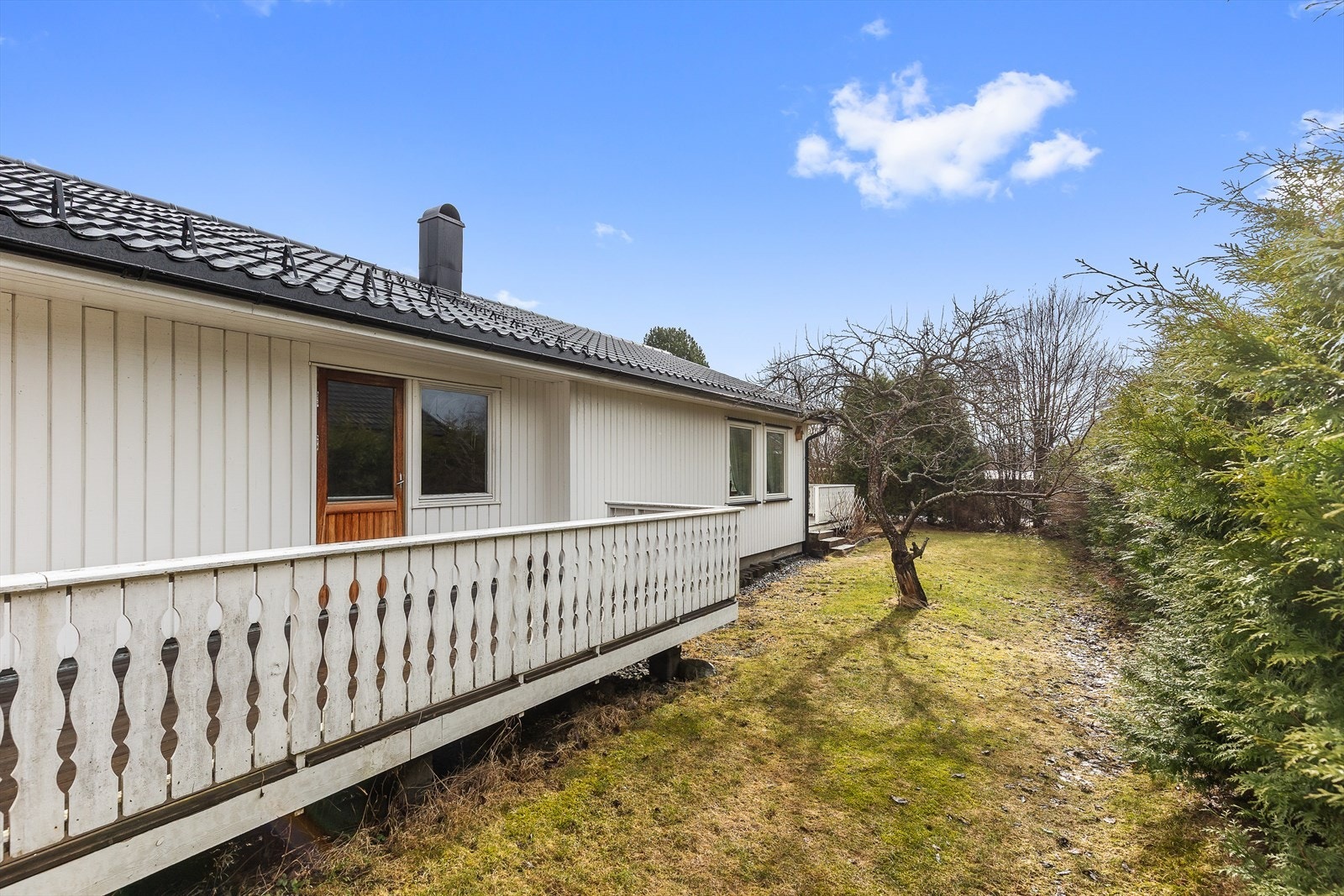 Hage med hekk, plen og diverse beplantning. Galleribilde