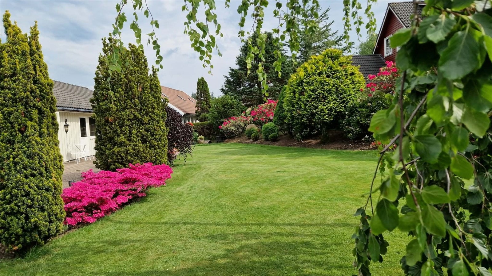 Selgers egne bilder. Galleribilde