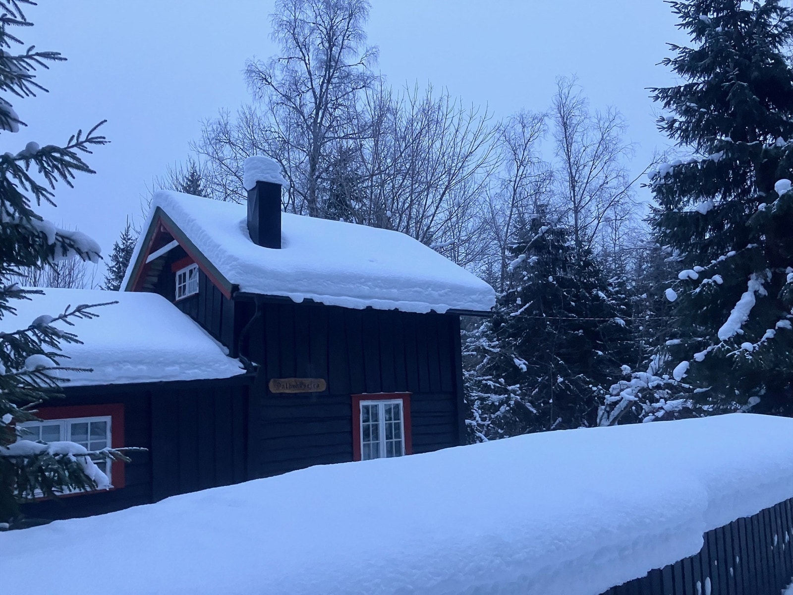 Selgers private bilder - vinter 2026 Galleribilde