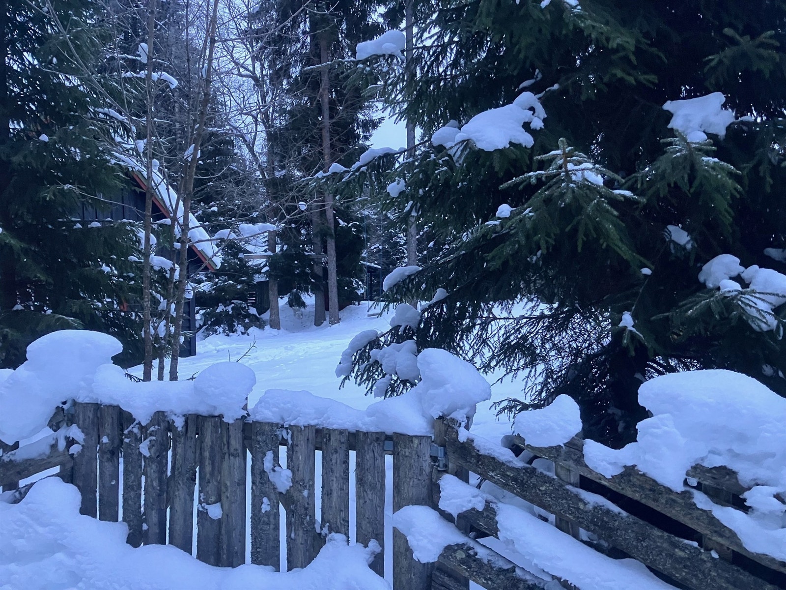 Selgers private bilder - vinter 2026 Galleribilde