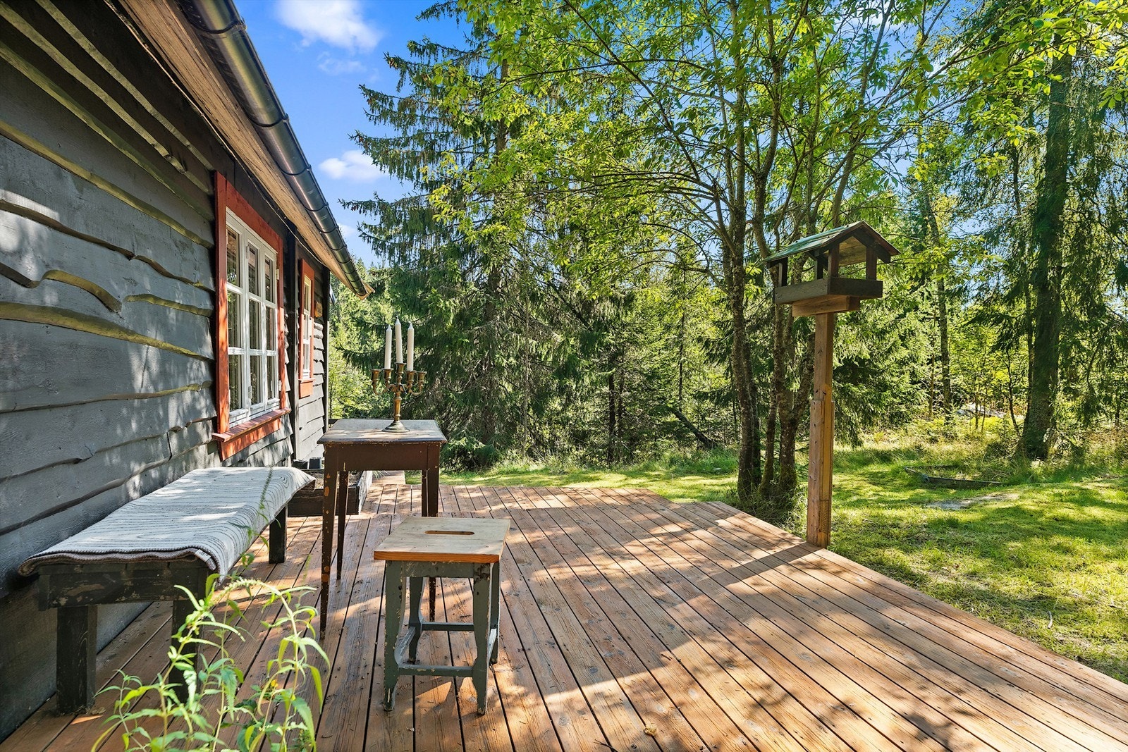 Solfylt skjermet terrasse med skogen som nabo Galleribilde