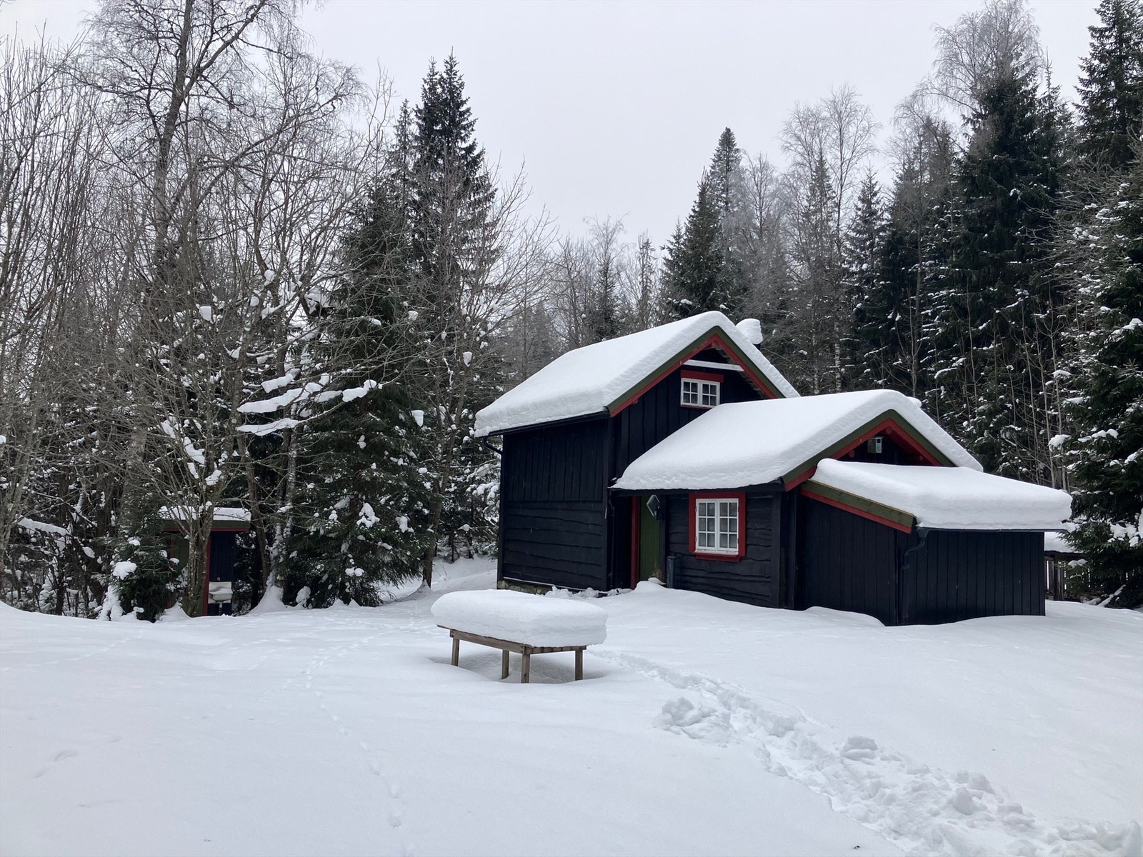 Selgers private bilder - vinter 2026 Galleribilde