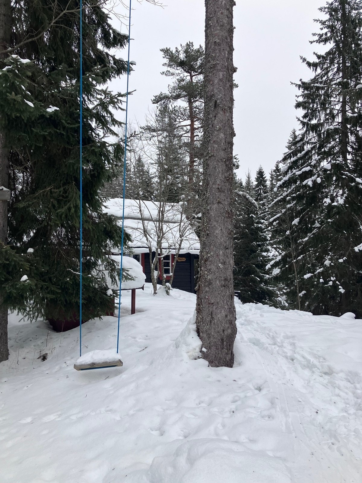 Selgers private bilder - vinter 2026 Galleribilde