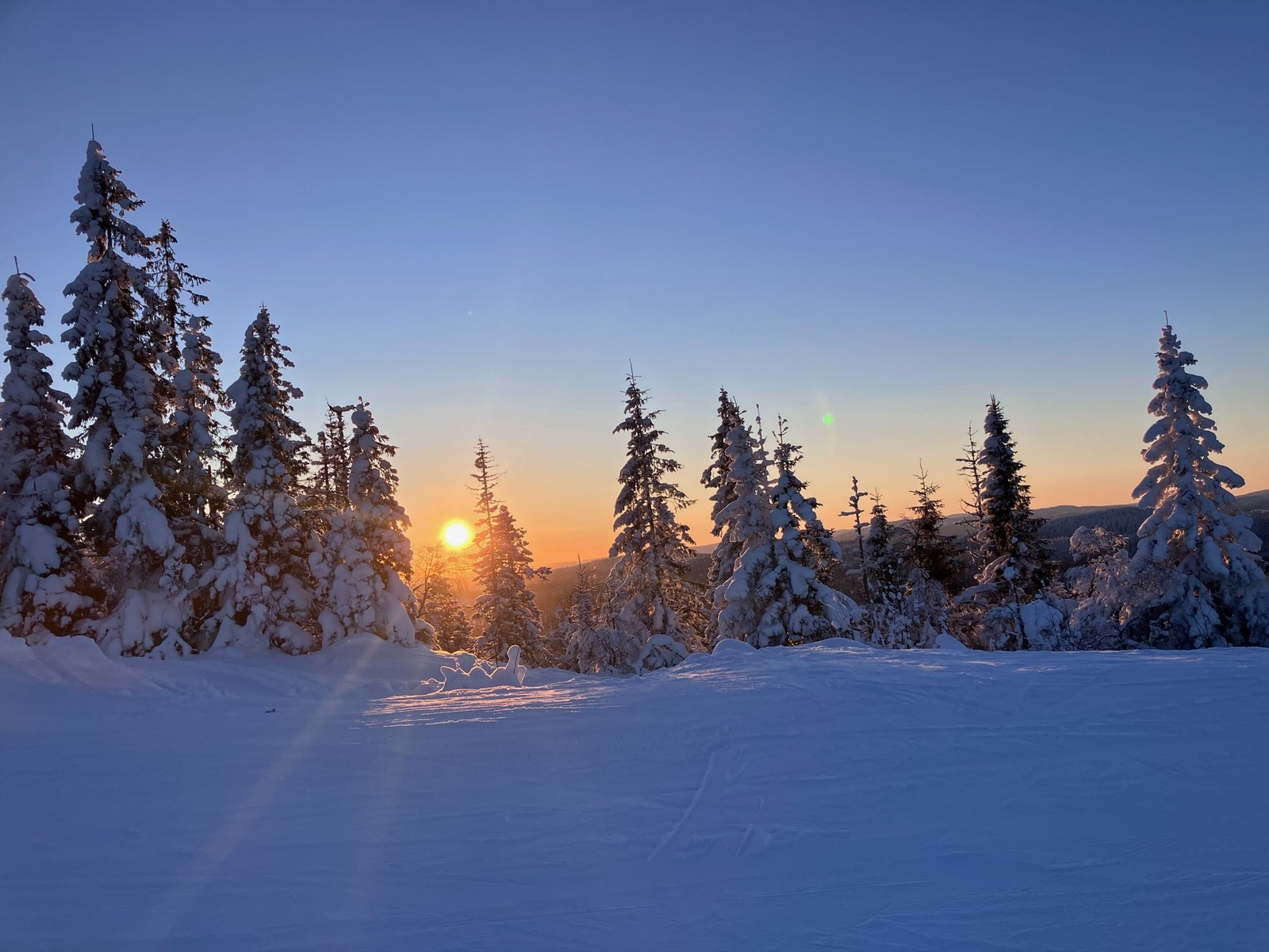 Selgers private bilder - vinter 2026 Bilde fra Varingskollen Galleribilde