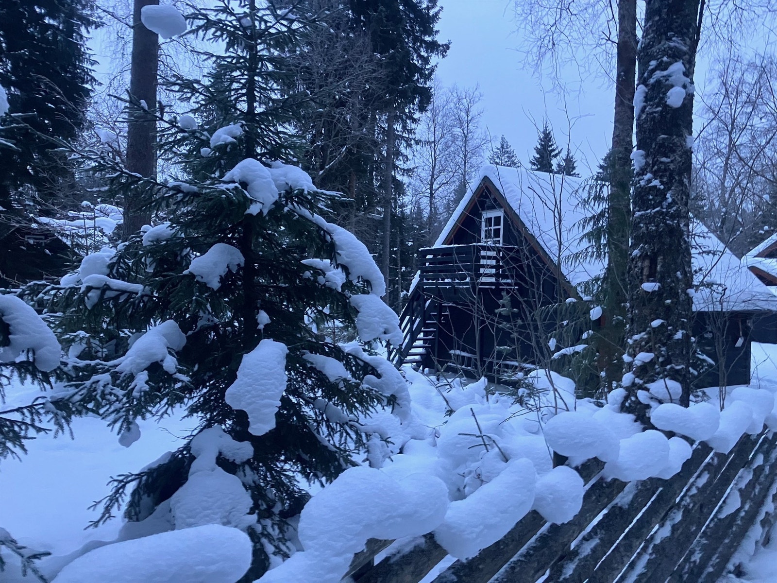 Selgers private bilder - vinter 2026 Galleribilde