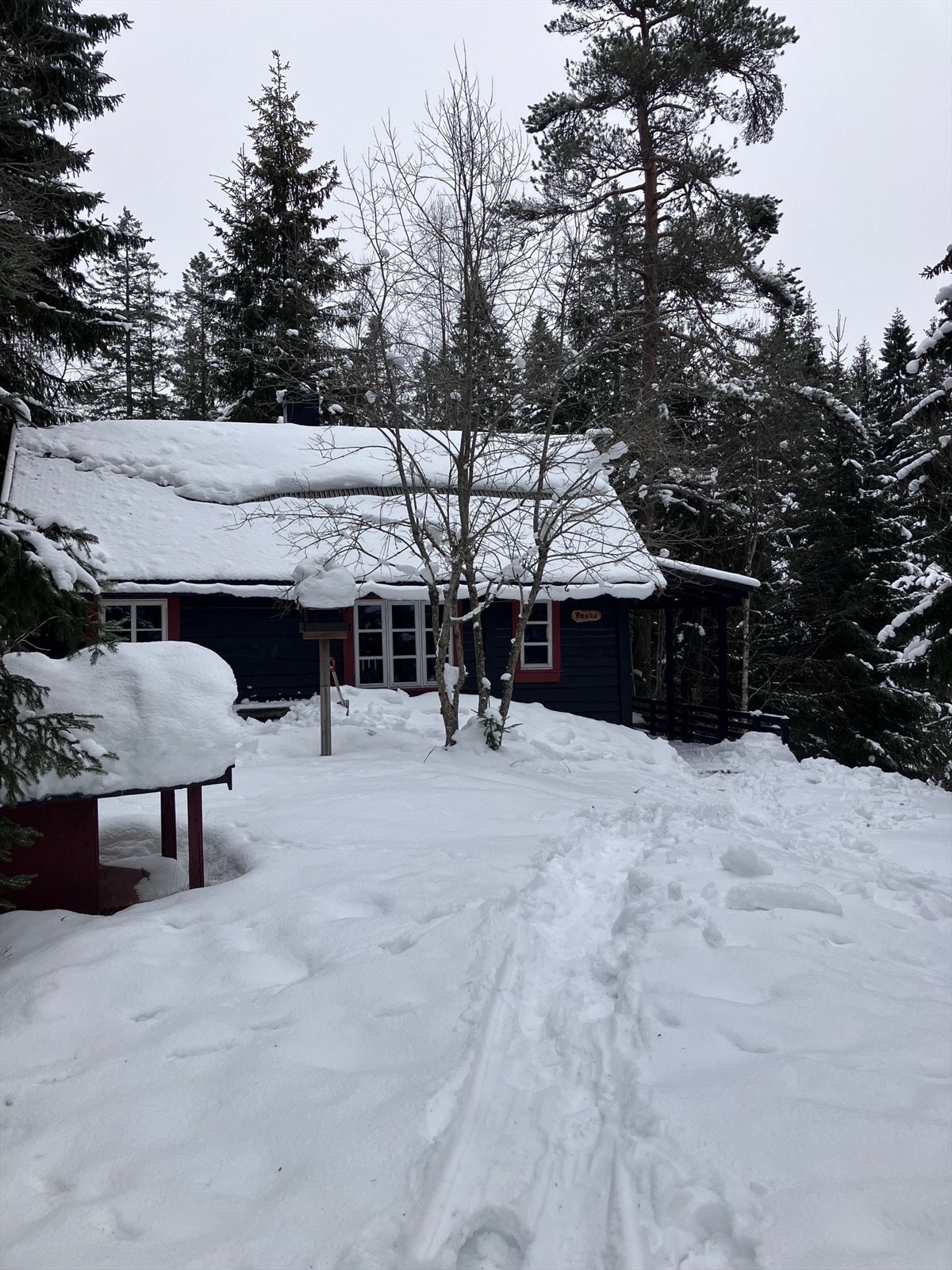 Selgers private bilder - vinter 2026 Galleribilde