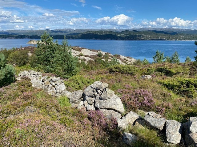 4.jpg Galleribilde
