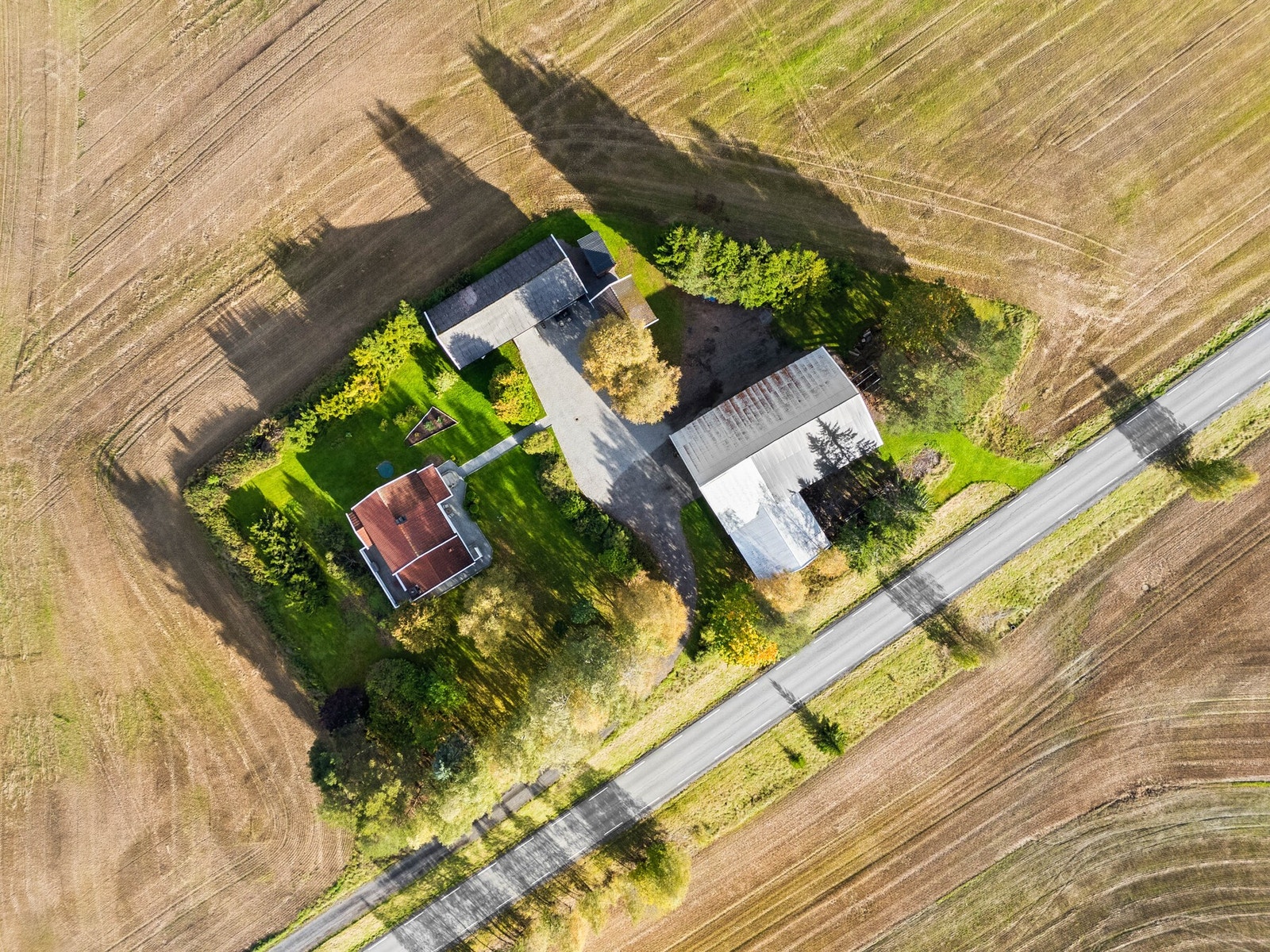 Tunet i fugleperspektiv. Galleribilde