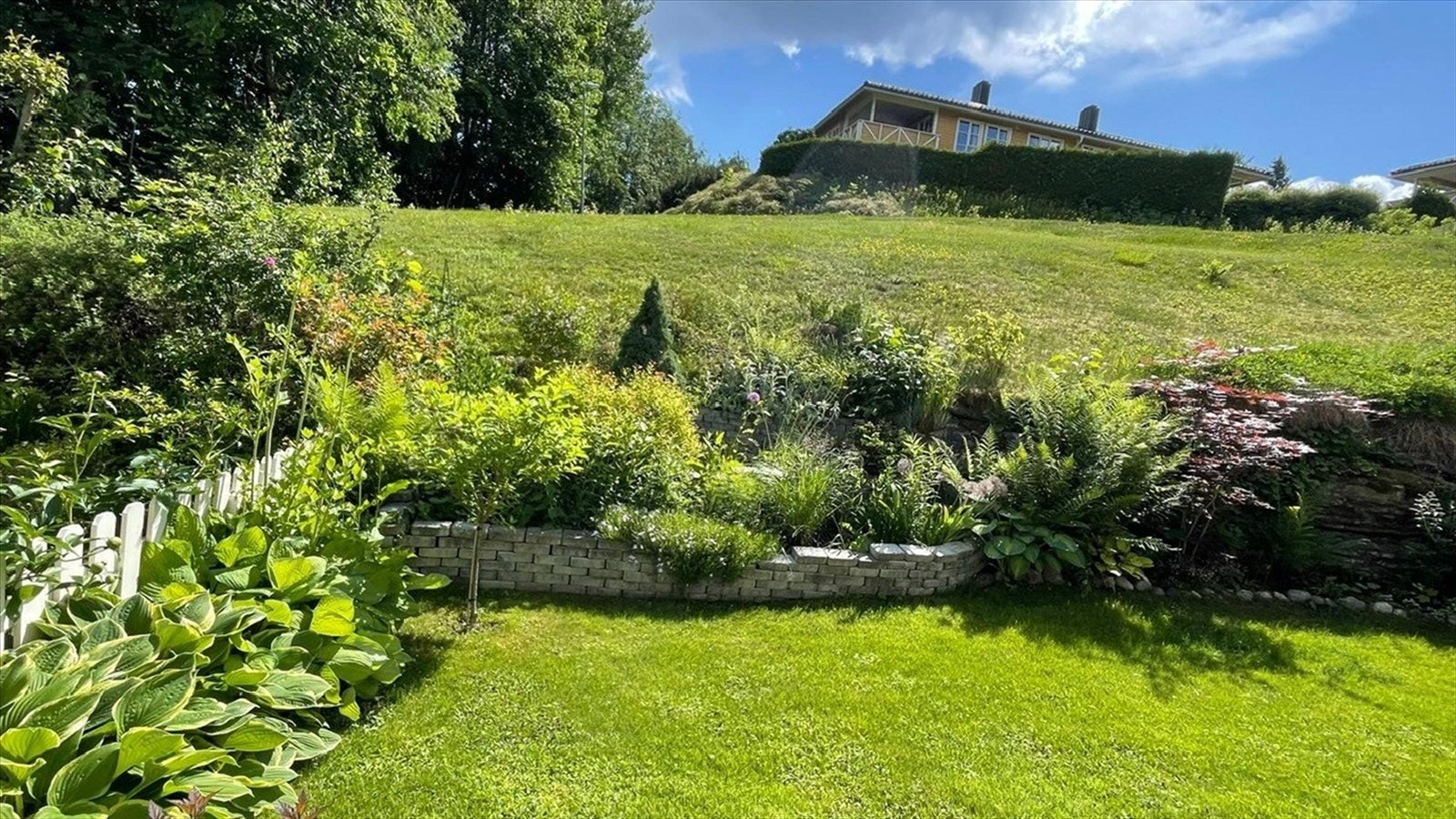 Selgers bilde av hagen Galleribilde