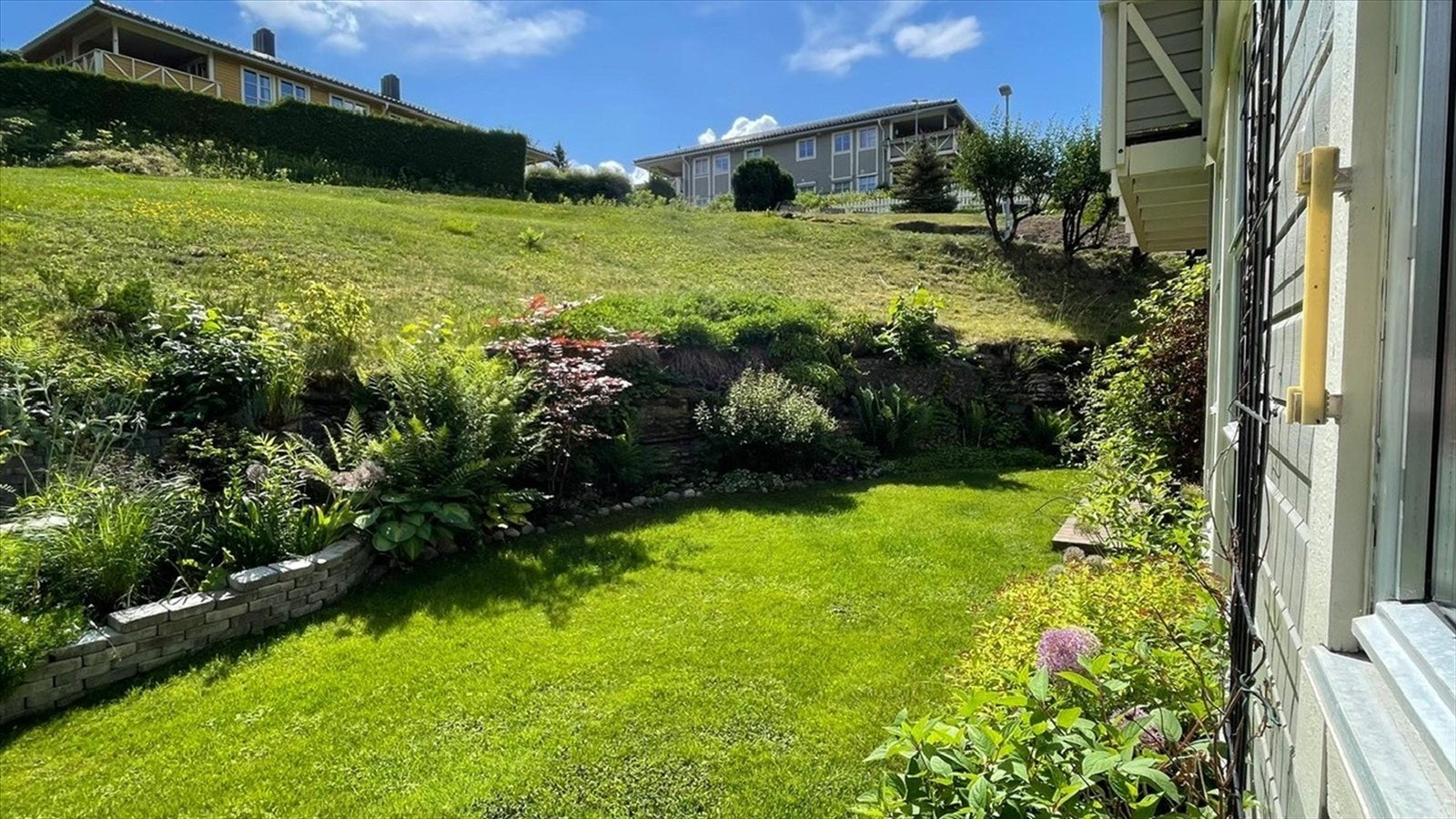 Selgers bilde av hagen Galleribilde