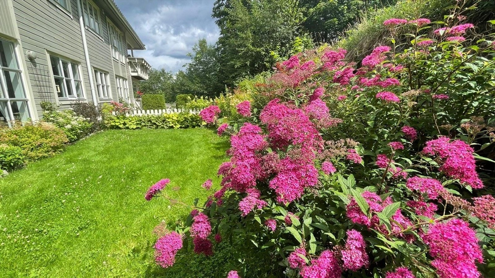 Selgers bilde av hagen Galleribilde