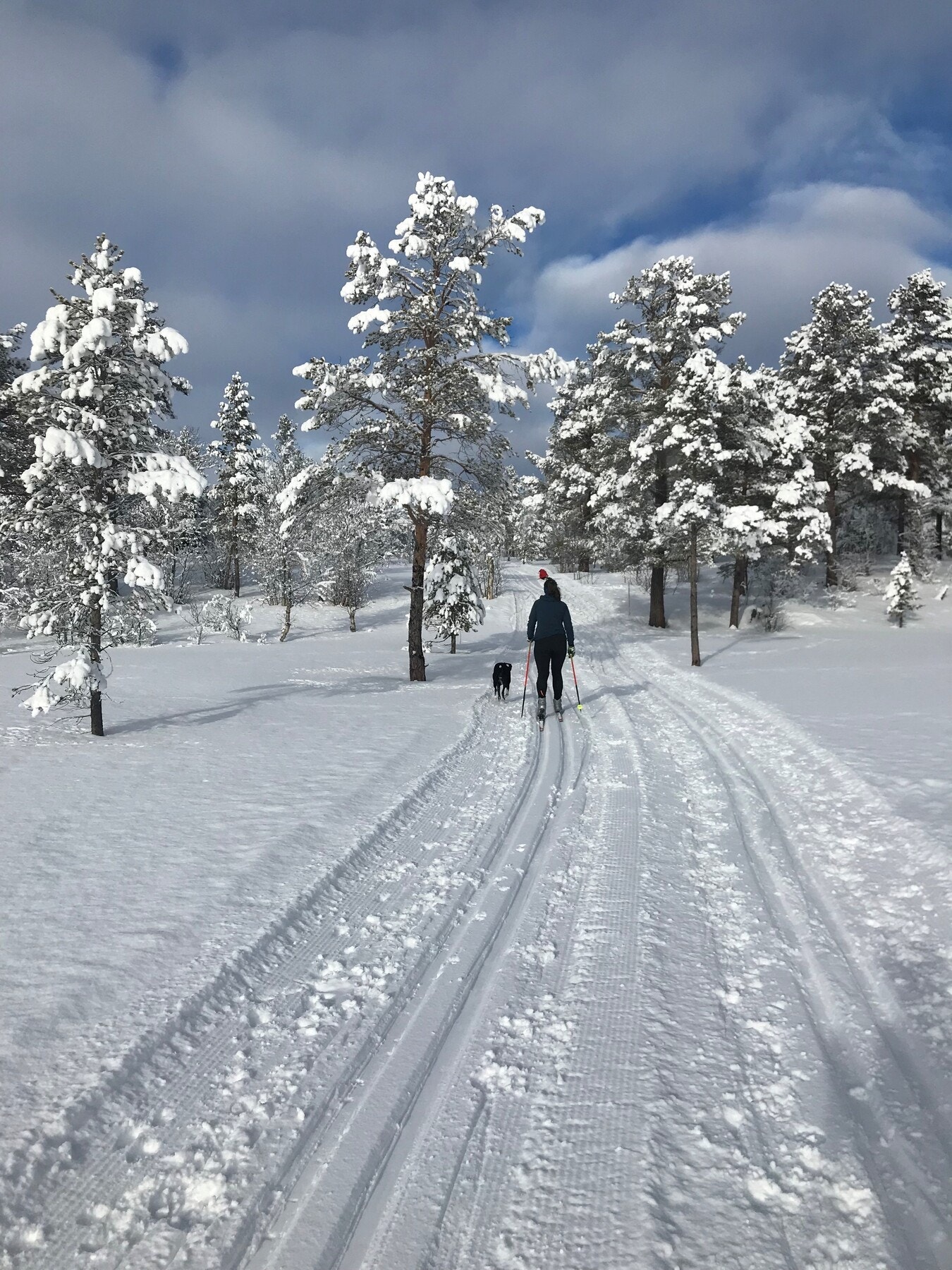 Privat bilde - tatt av selger Galleribilde