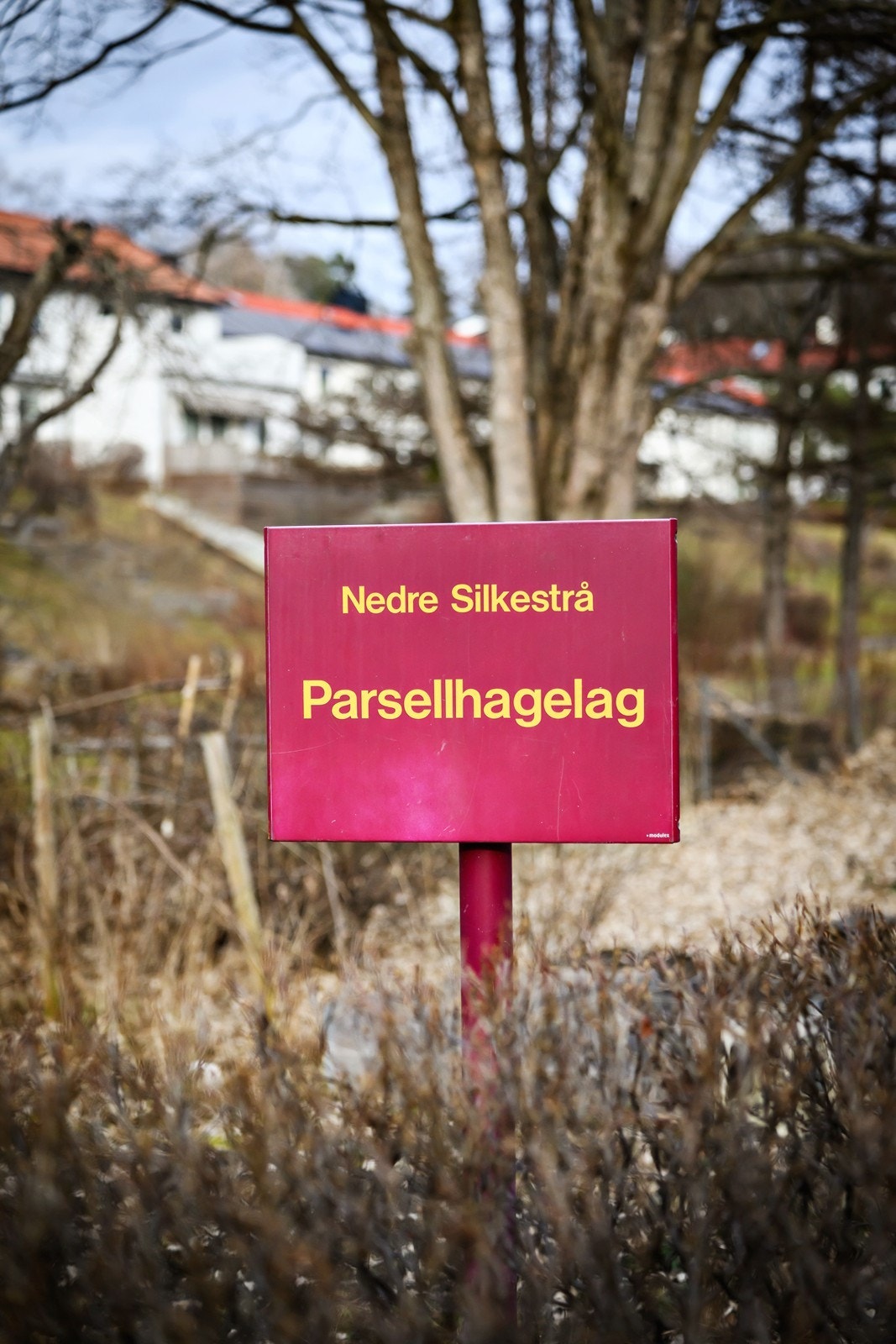 Parsellhagelag med ca. 27 parseller og grillplass - en hyggelig plass for sosialt samvær. Alle beboere i Nedre Silkestrå kan søke om parsell Galleribilde