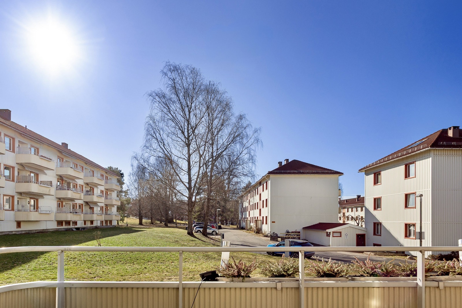 Området byr på flotte turmuligheter, med kort vei til Svartdalsparken og stiene langs Alnaelva. Galleribilde