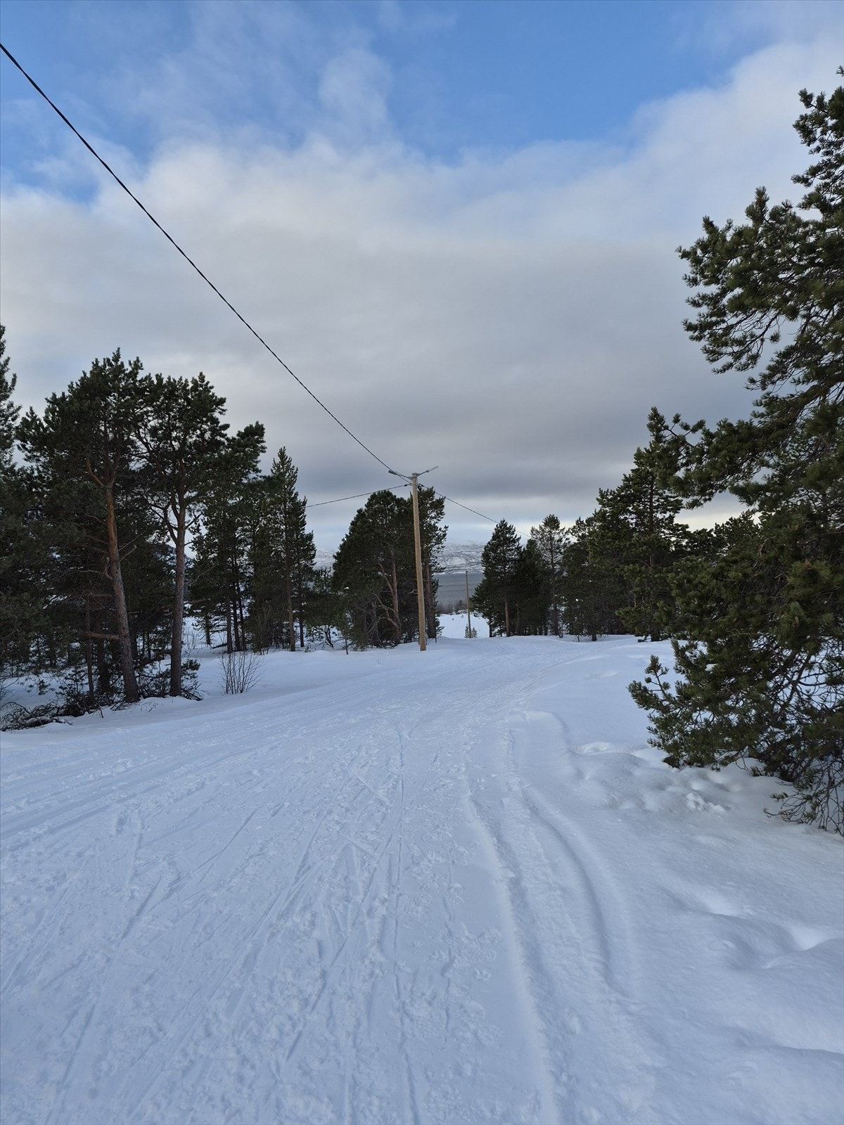 Lysløype hvor det kjøres skispor - Privat bilde Galleribilde