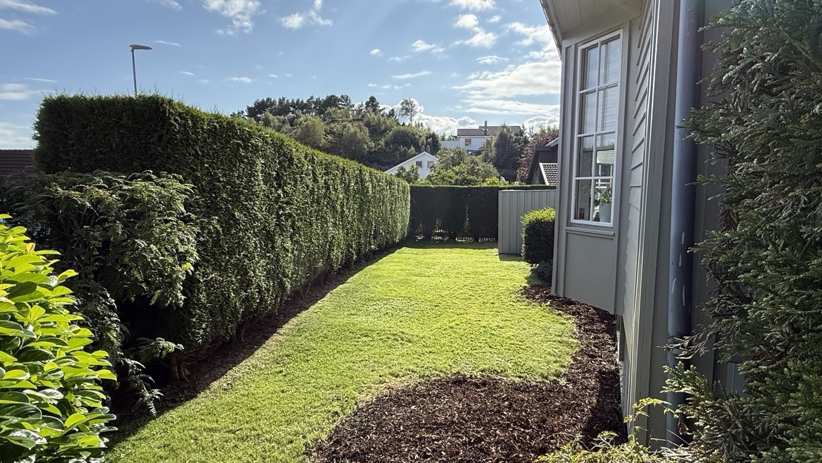 Selgers bilde Galleribilde