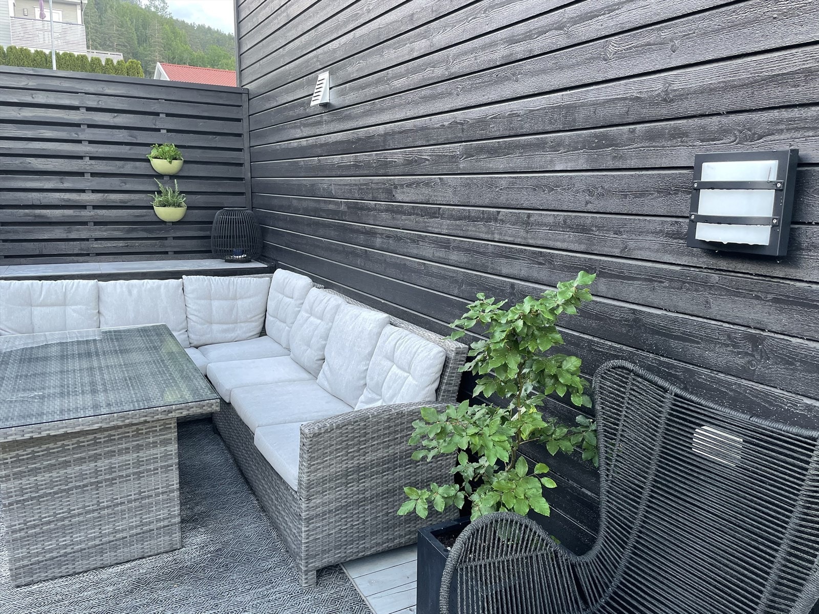 Selgers private bilder fra sommertid. Galleribilde