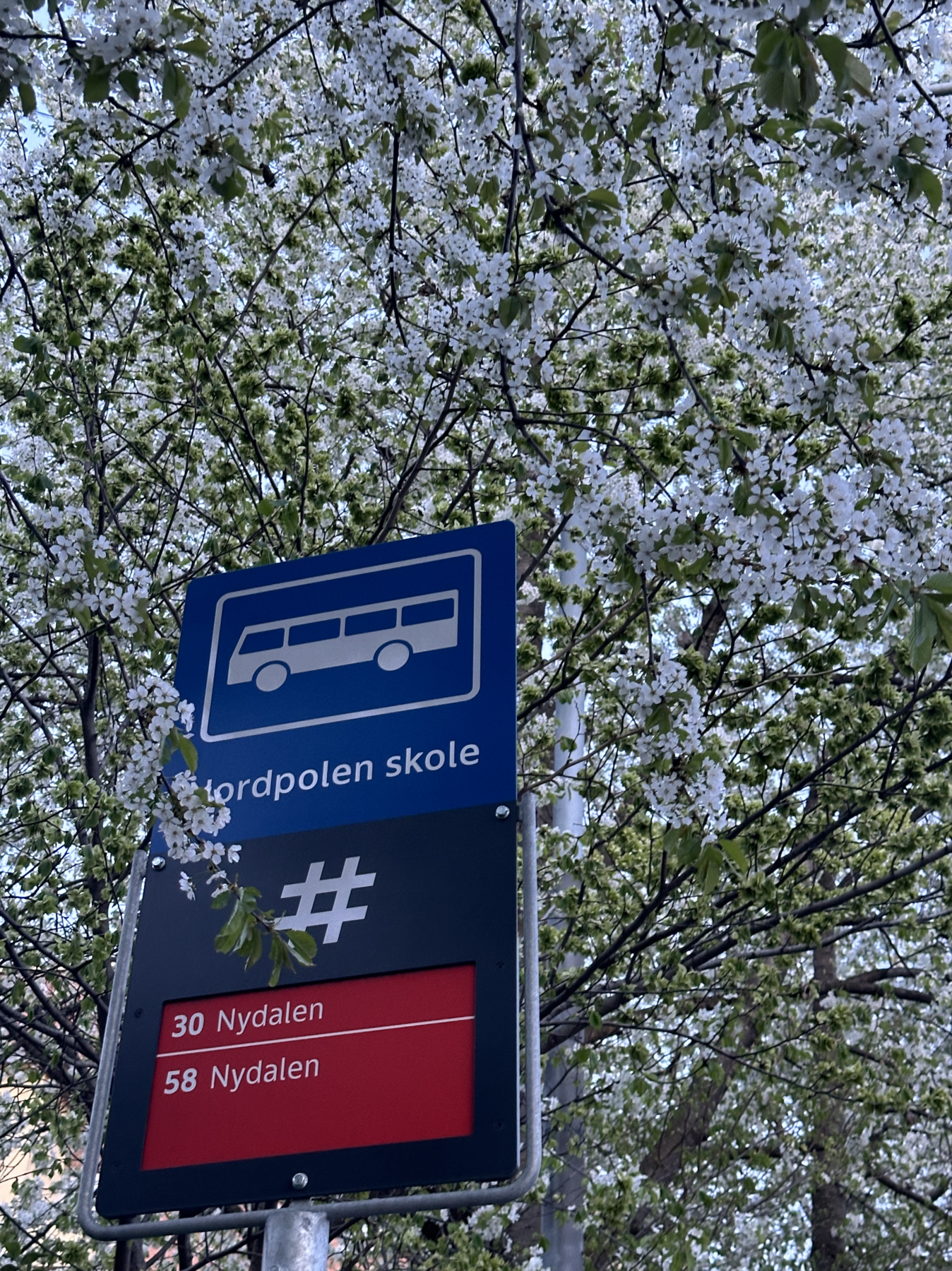 Herfra finner vi også nærmeste busstopp: Nordpolen Skole. Ett kvartal unna finner vi tre trikkelinjer, og noen megler-steinkast unna er T-banen på Storo. Galleribilde