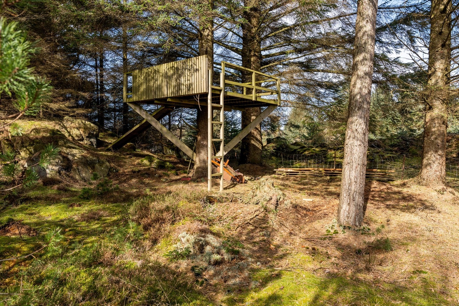 Trehytte i den private skogen - eventyrlig for barna og en av tomtens mange sjarmerende detaljer. Galleribilde