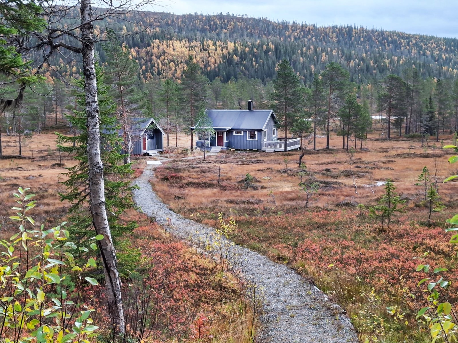 Hytta i vakker høstdrakt! Privat foto Galleribilde